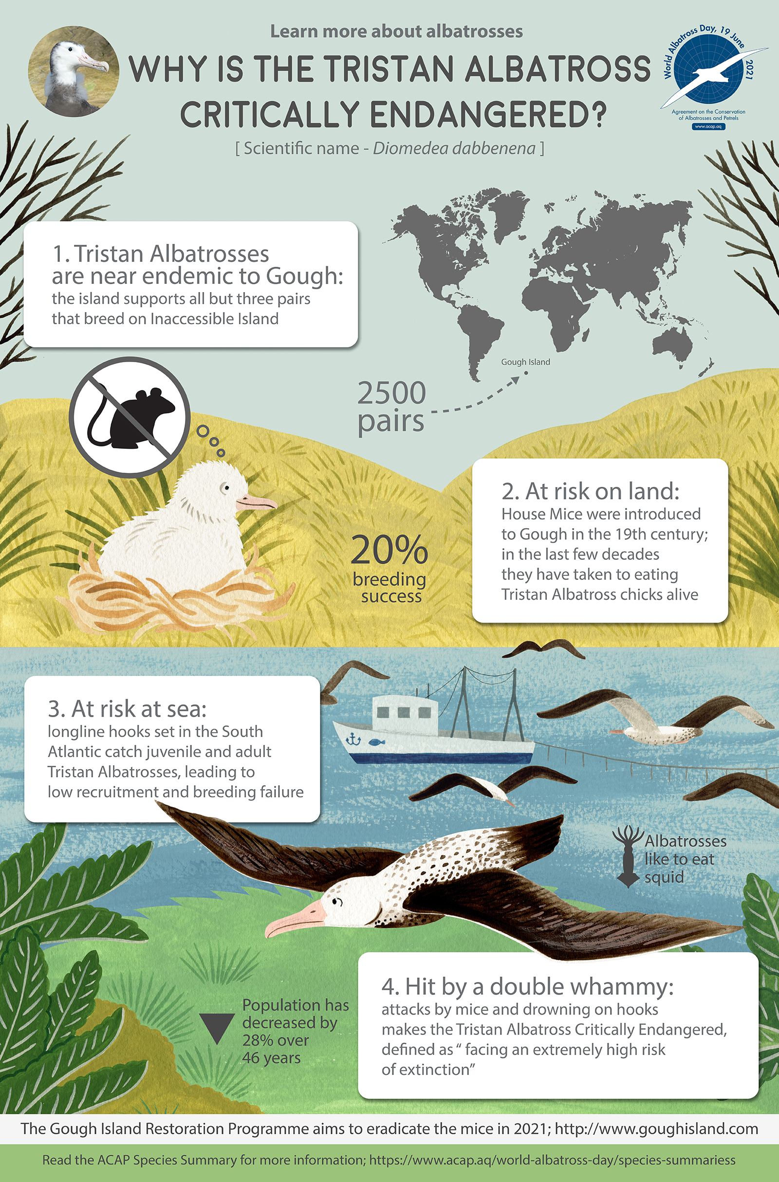 Tristan_Albatross_infographic_colour.jpg
