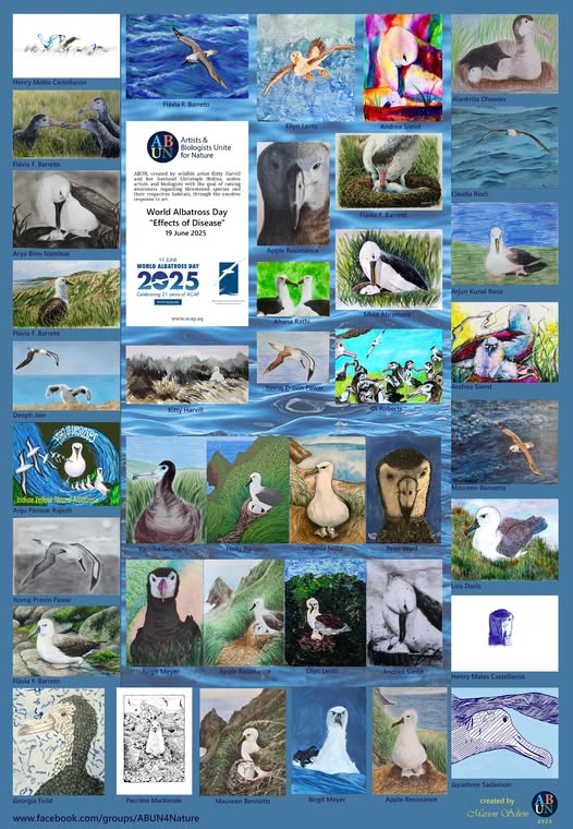 ABUN 49 Compilation Poster