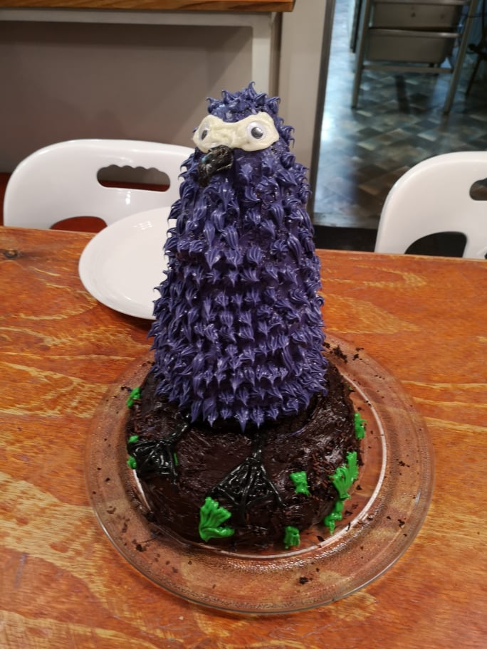 Alexis Osborne Sooty Albatross chick birthday cake