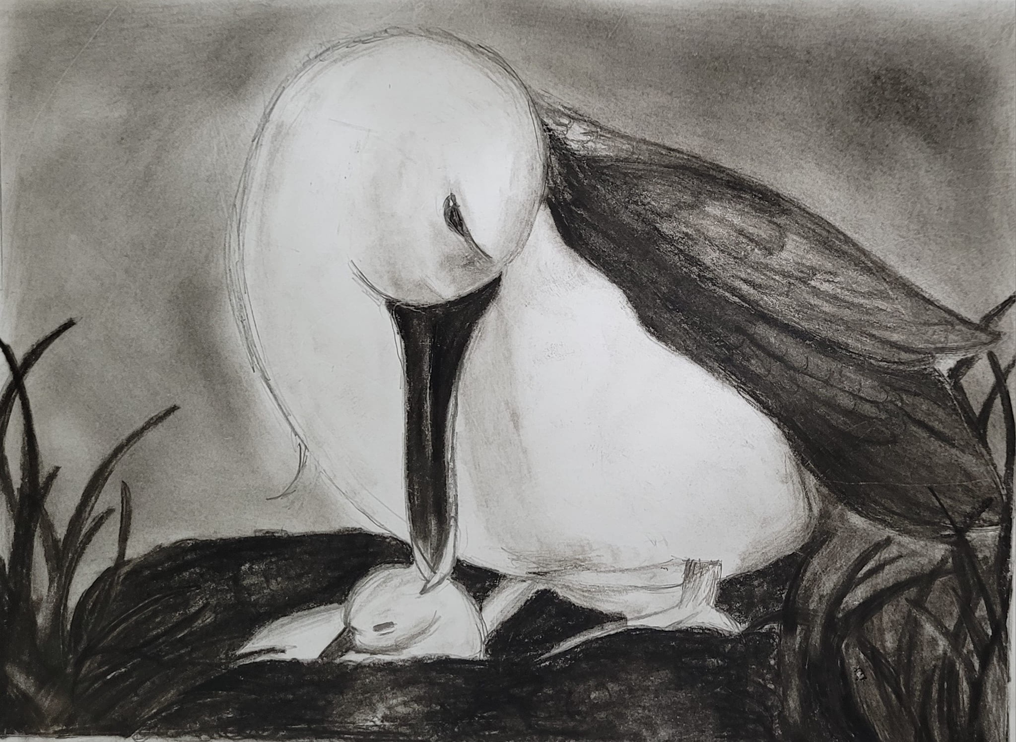Arya Binu Nambia 12 charcoal Dominique Filippi