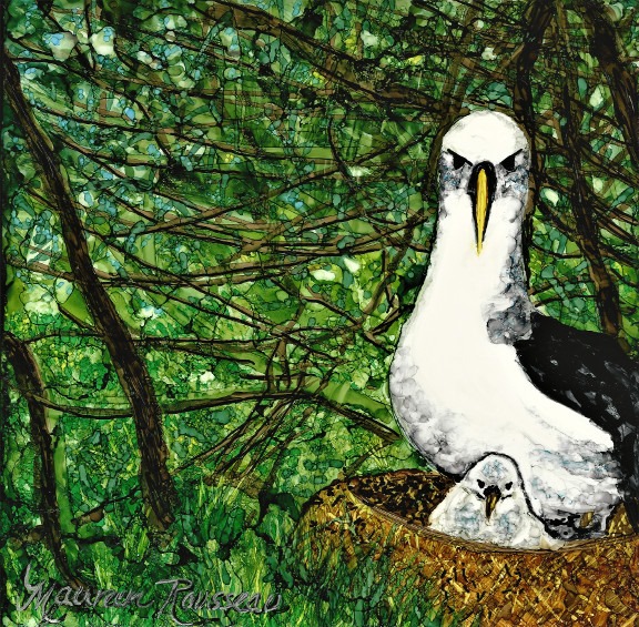 Atlantic Yellow nosed Albatross Michelle Risi Maureen Rousseau lo qual