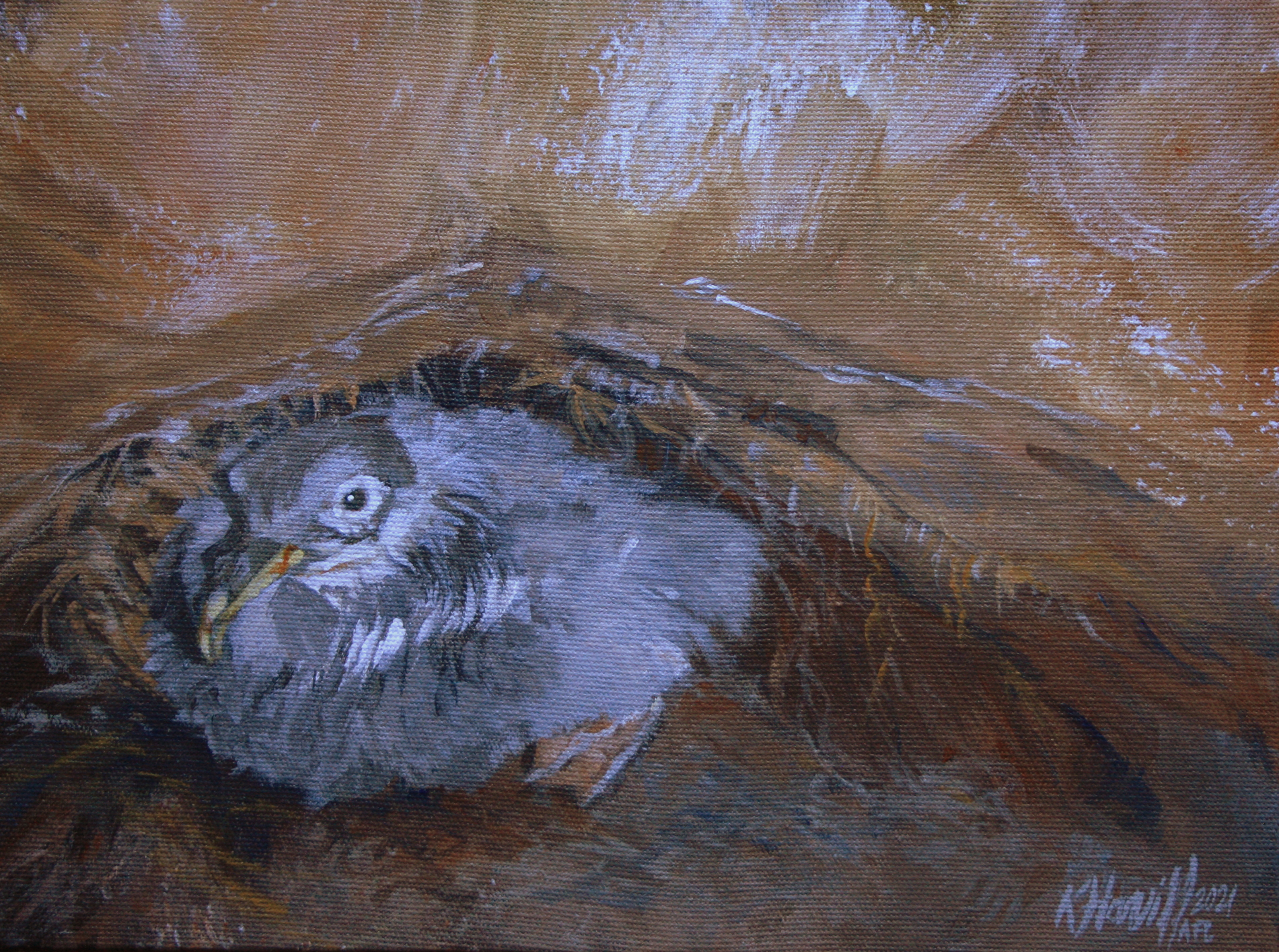 Kitty Harvill Grey Petrel chick acrylic 18x24 Ben Dilley