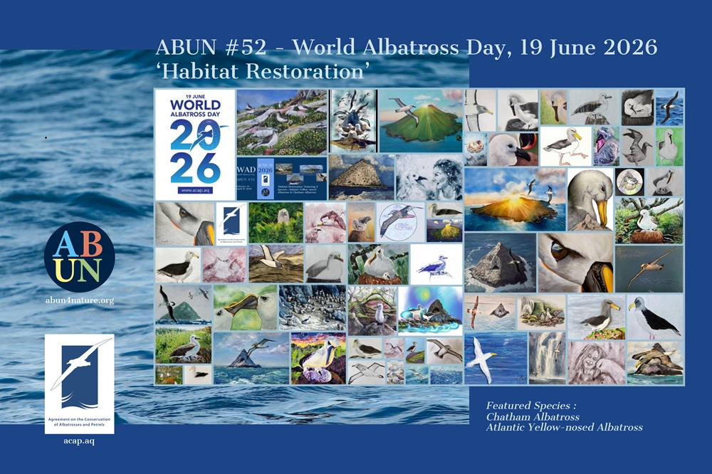 ABUN 52 POSTER WAD2026 shrunk