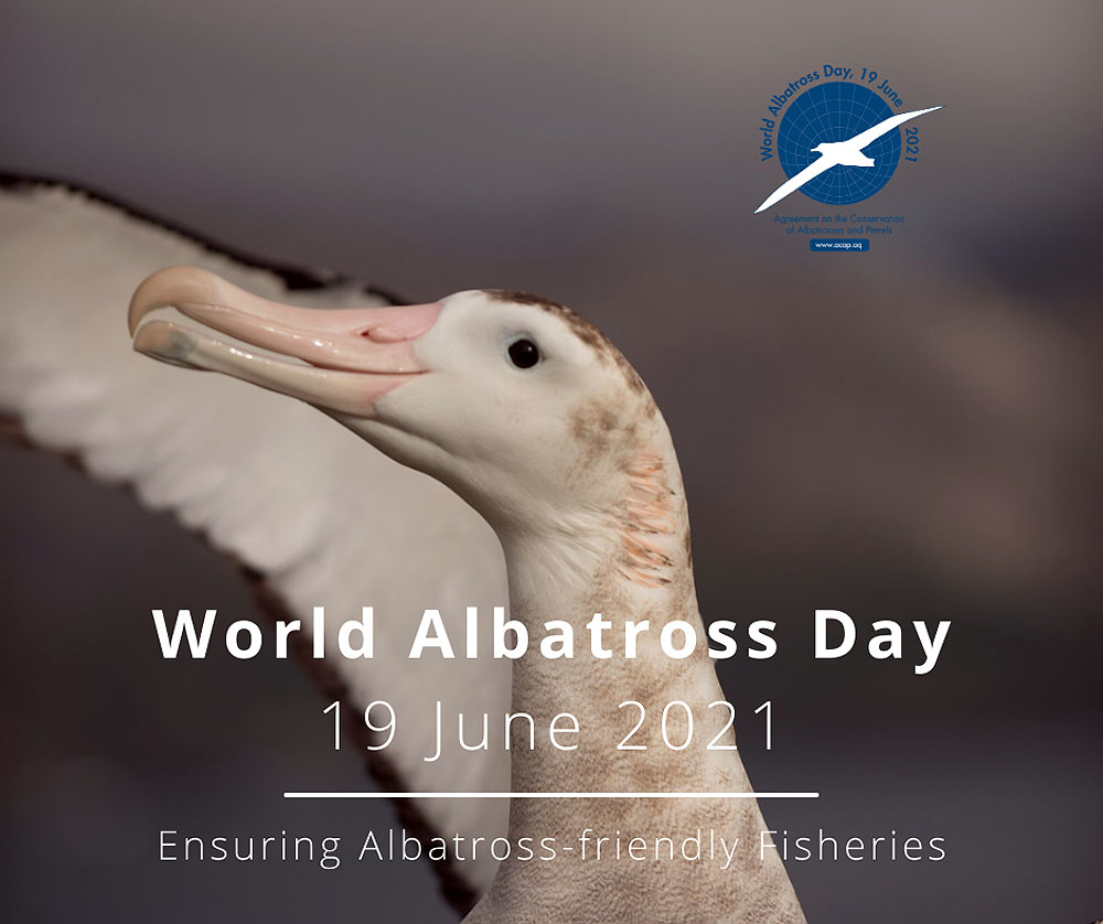 Albatross Task Force poster