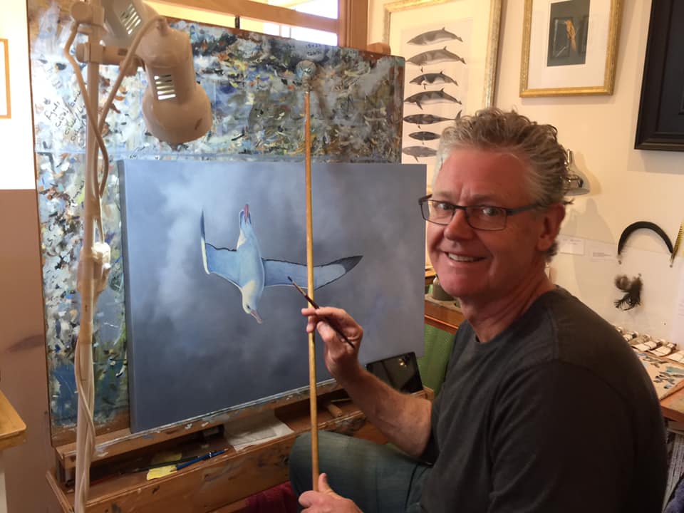 Brett Jarrett Shy Albatross Thalassarche cauta off Portland Victoria Australia