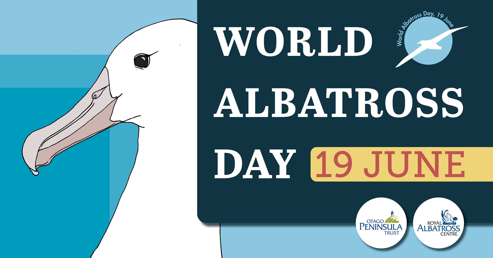 Royal Albatross Centre WAD2021