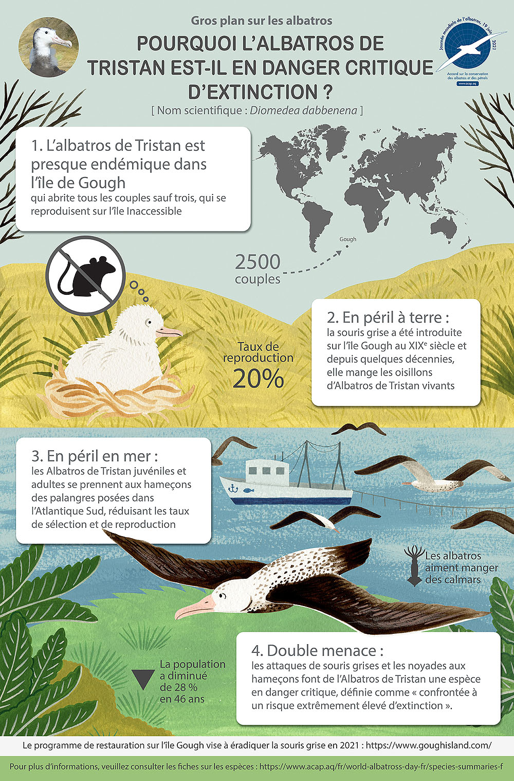Tristan Albatross infographic French