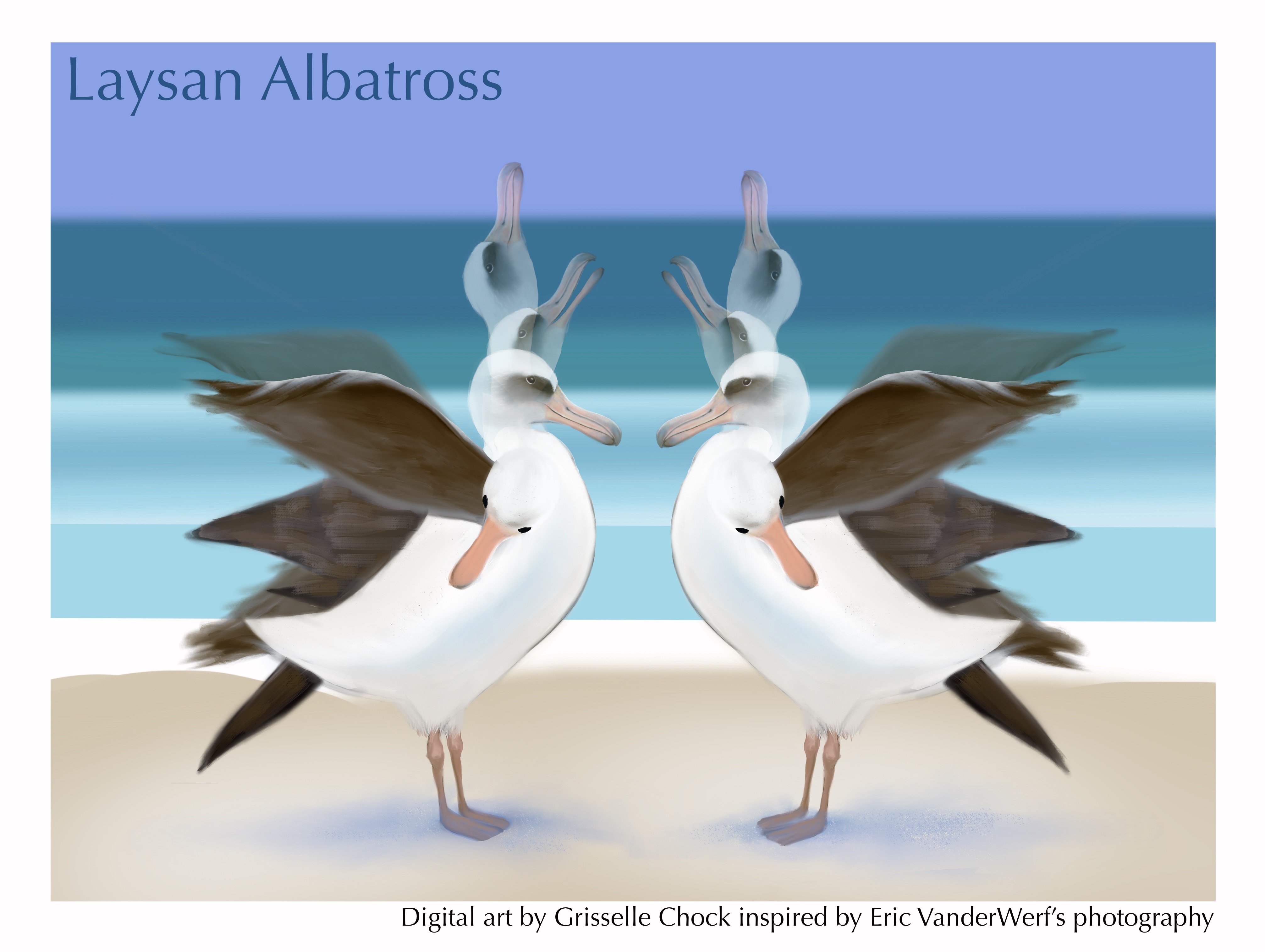 Grisselle Chock Laysan Albatross Climate Change
