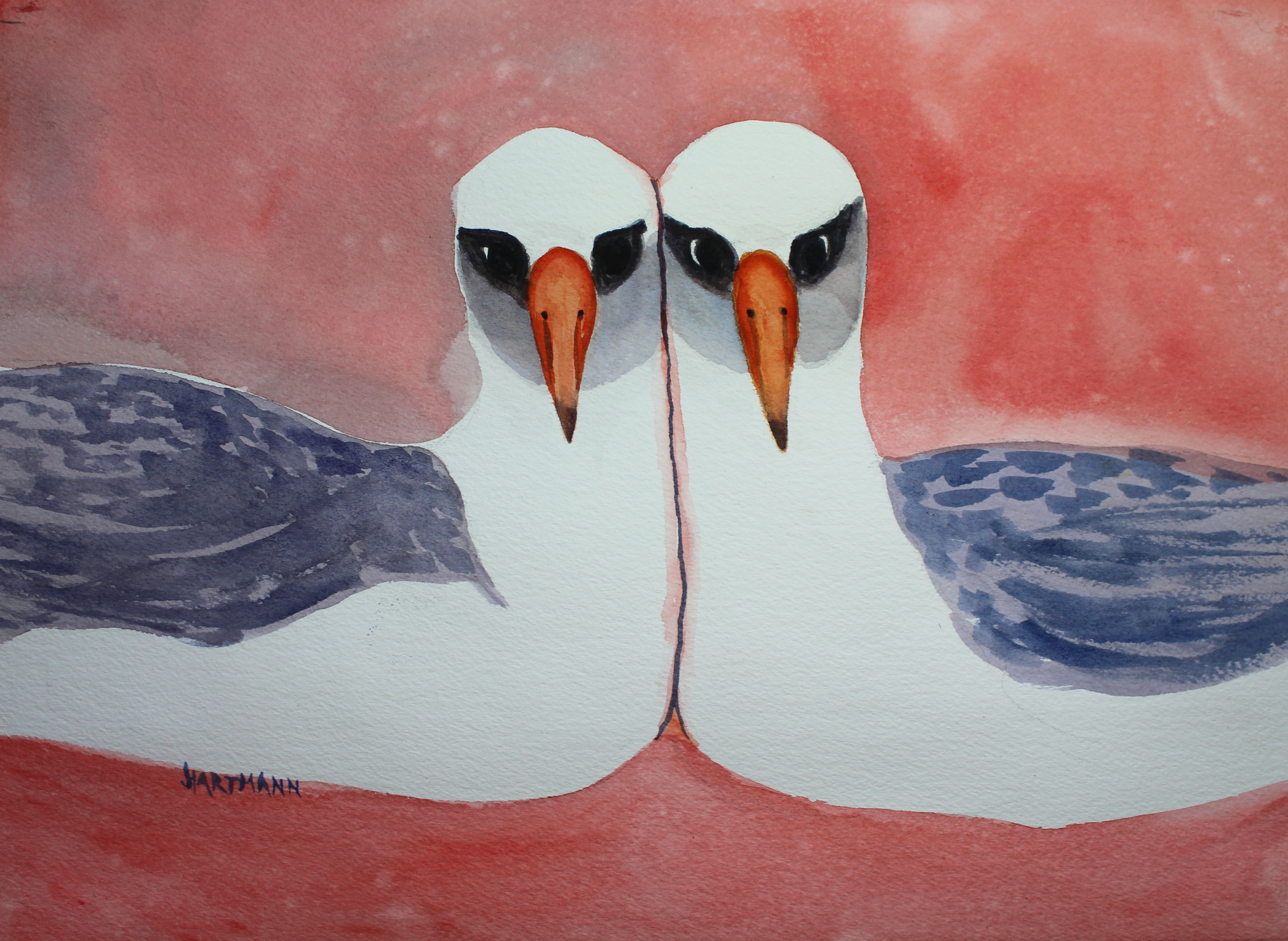 Joyce Hartmann Love Duowatercolour Laysan Albatrosses Hob Osterlund