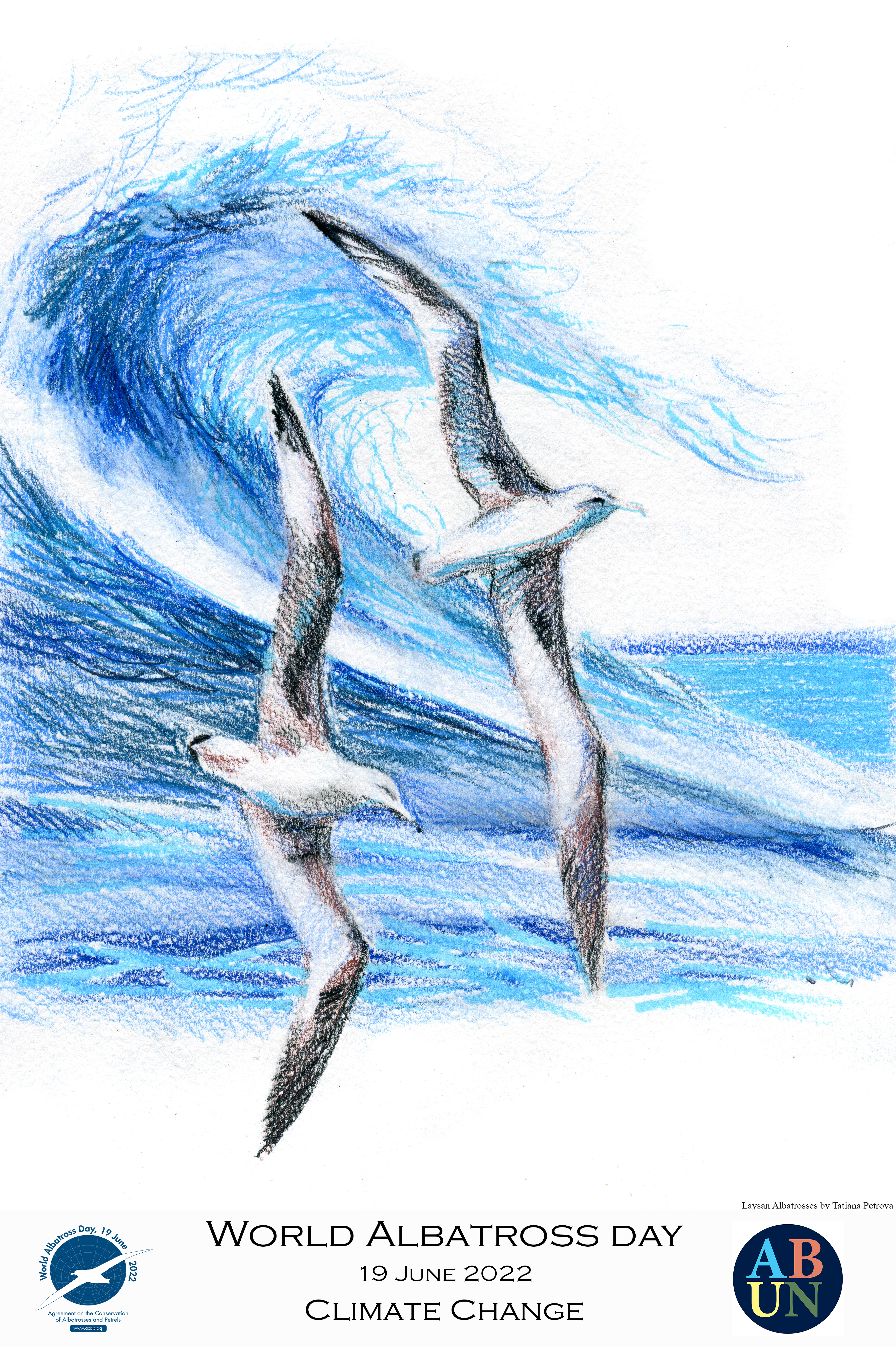 Laysan Albatrosses by Tatiana Petrova