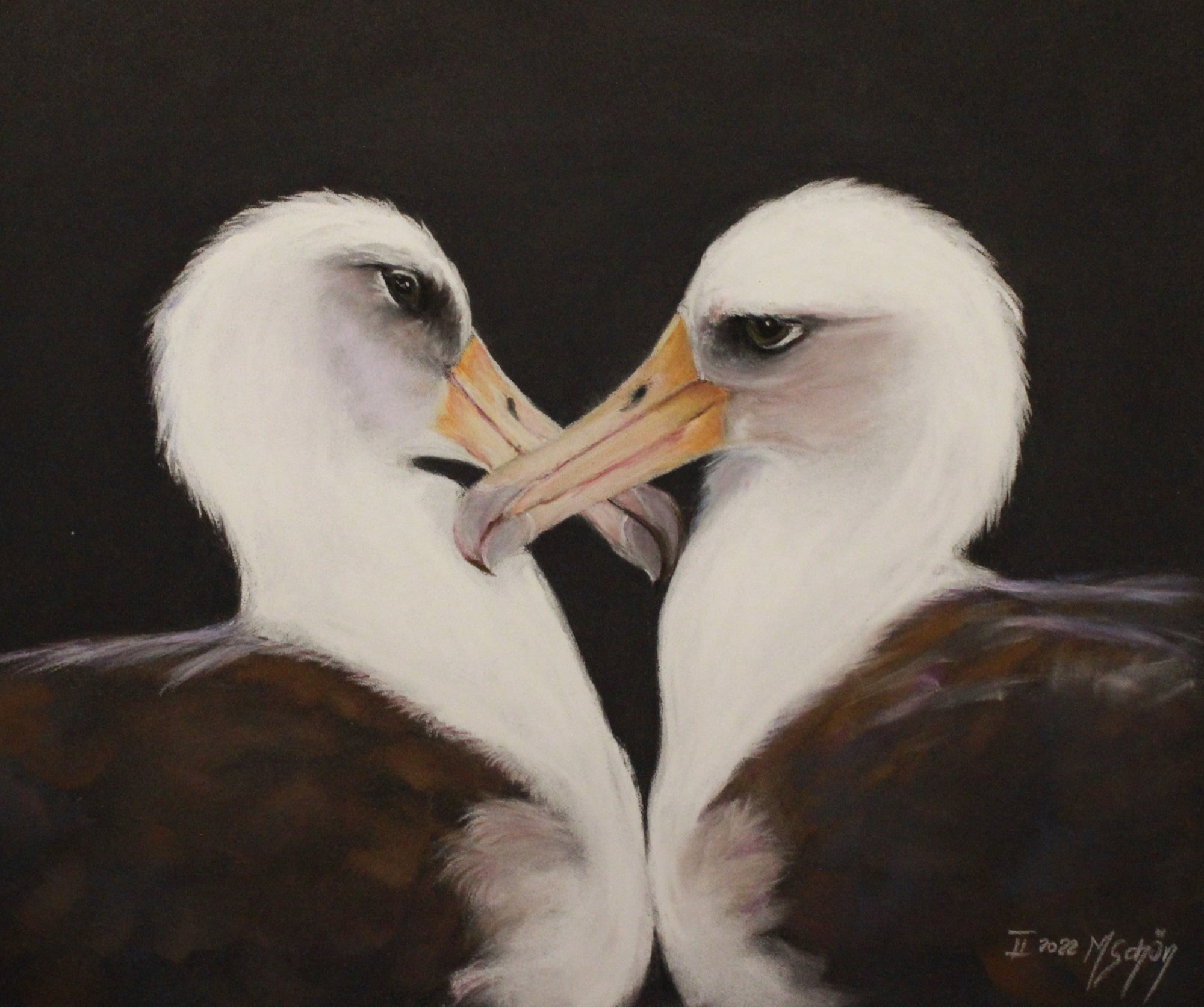 Marion Schön My Heart is Yours Laysan Albatross Hob Osterlund pastels