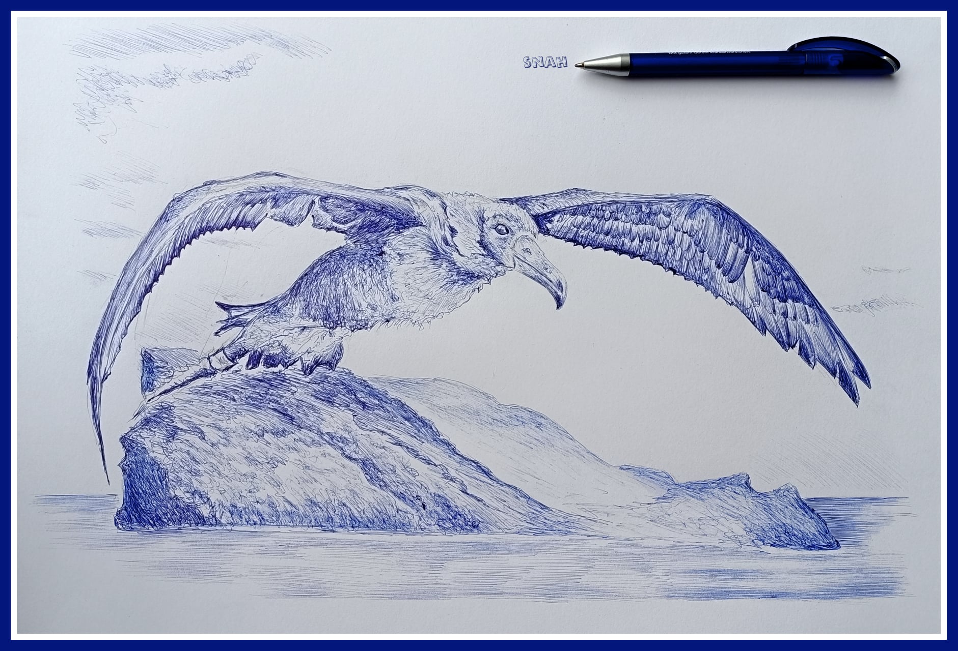 Snah 7 Black footed Albatross DinA 3. penM blue J.A. Soriano GECI