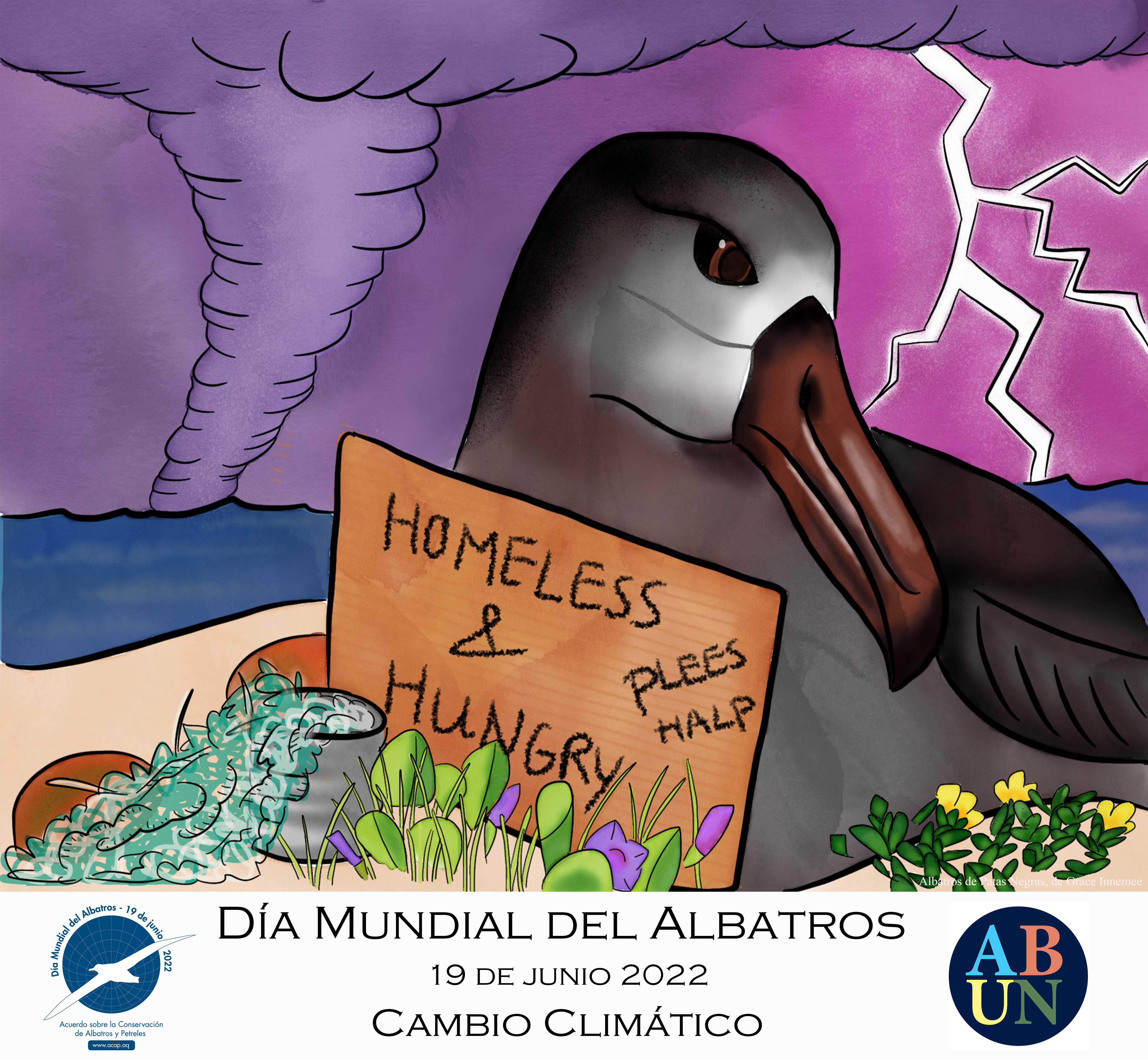 Sp Black footed Albatross by Grace Innemee Spanish