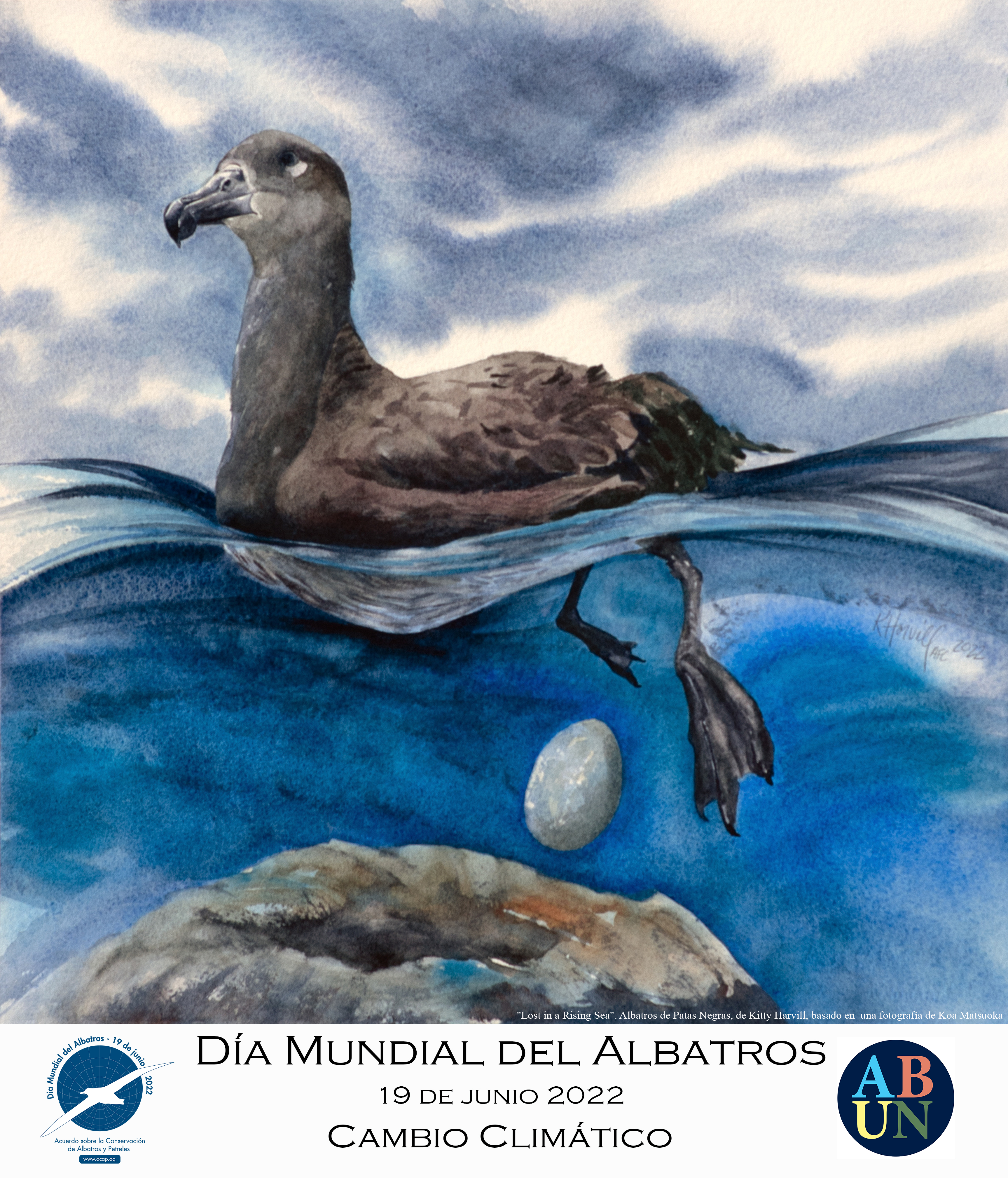 Sp Lost in a Rising Sea Black footed Albatross by Kitty Harvill after a photograph by Koa Matsuoka Spanish