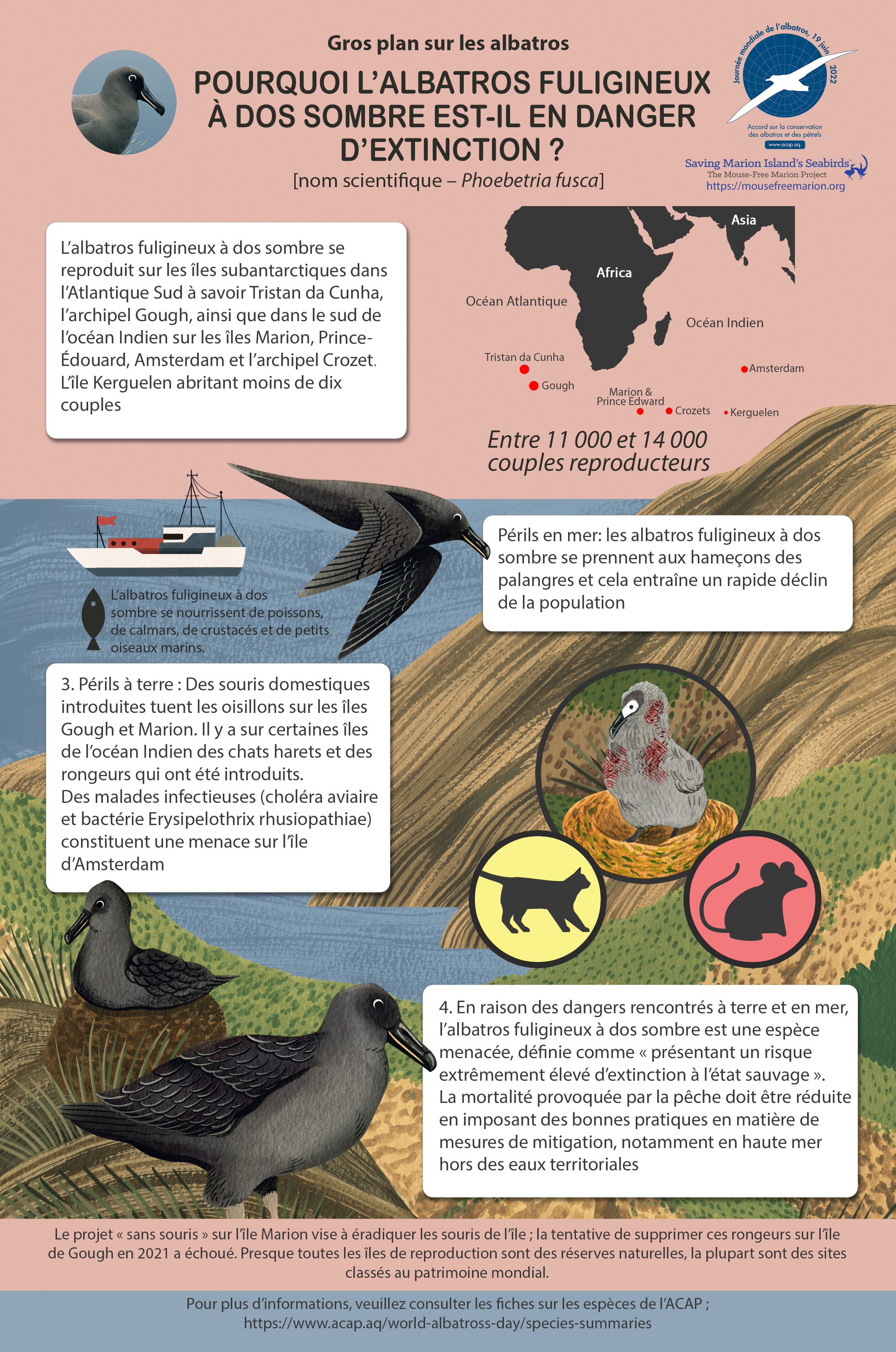 Science infographic - Les instruments de… - InfographicNow.com