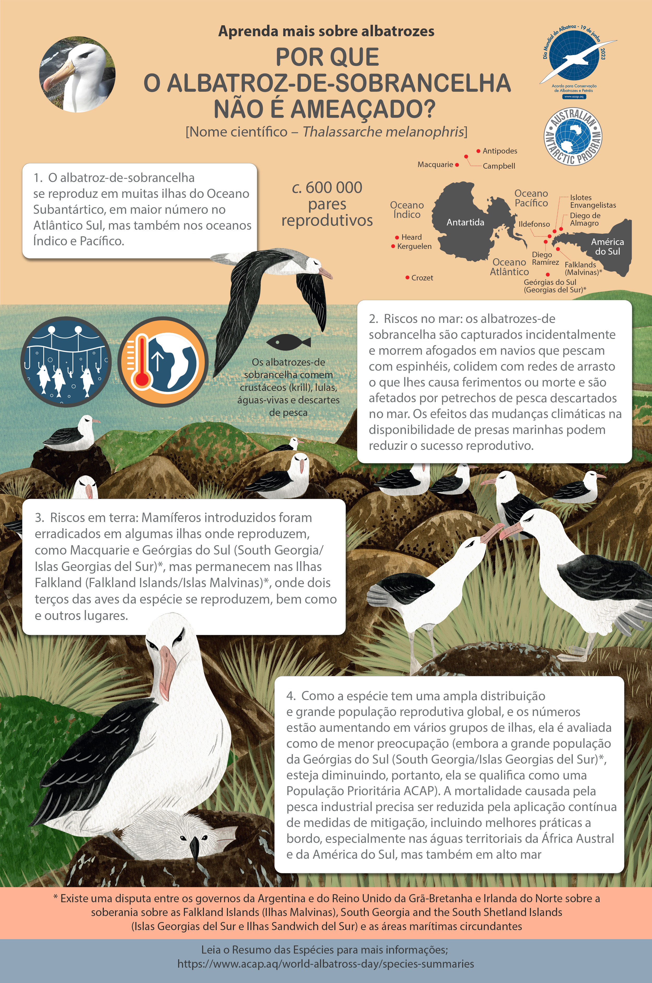 Black browed Albatross Infographic web version Portuguese