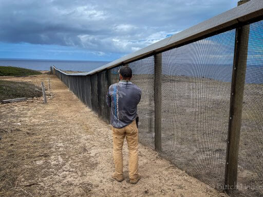 Mokio Preserve fence
