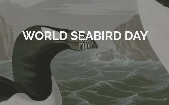 World Seabird Day