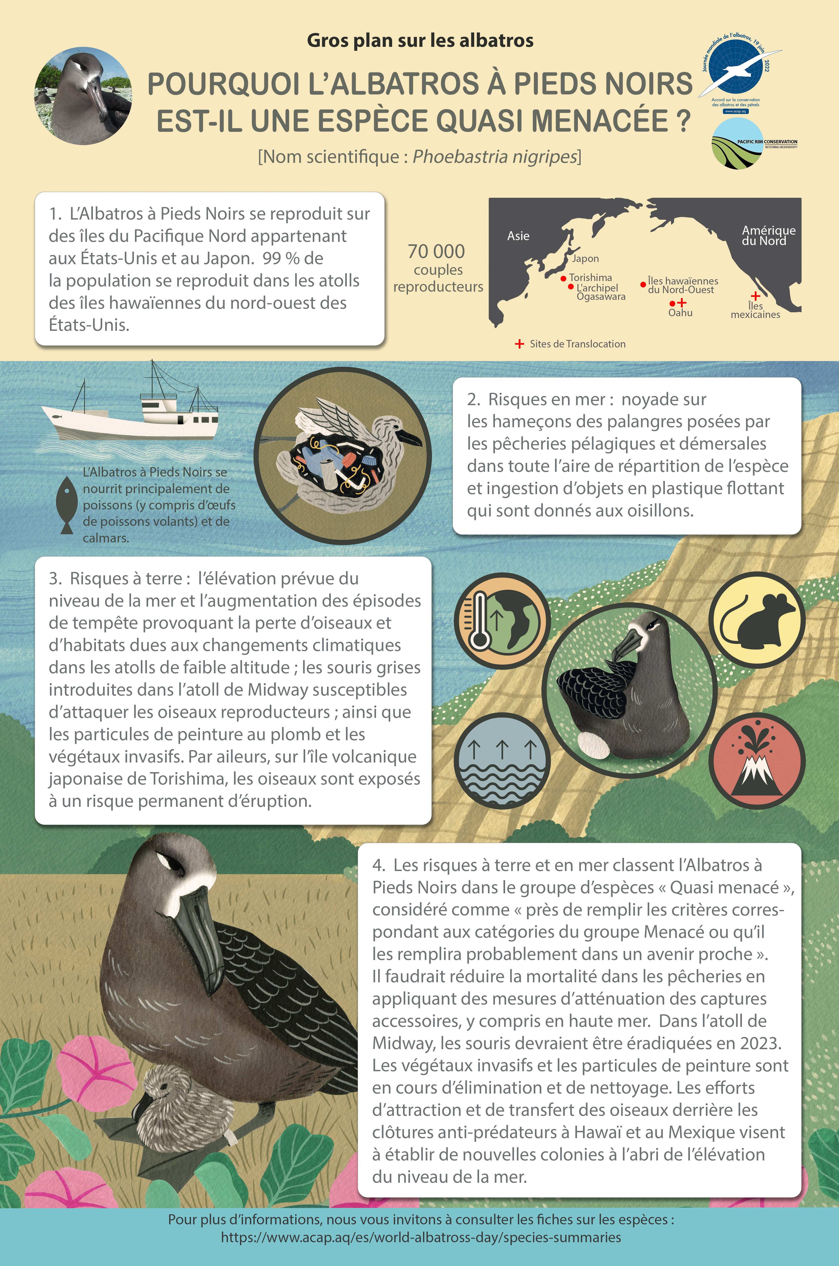 Black-footed Albatross infographic poster_fr - 9MB with 5mm bleed