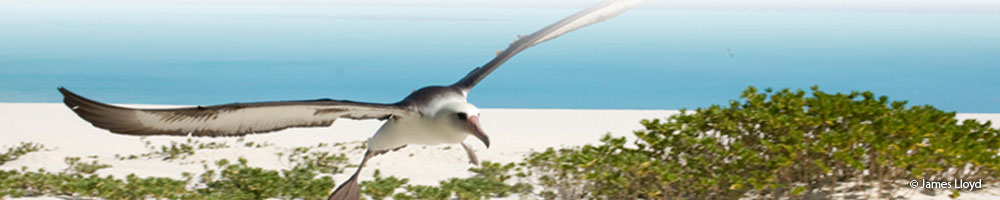 random-headerjameslloyd.jpg