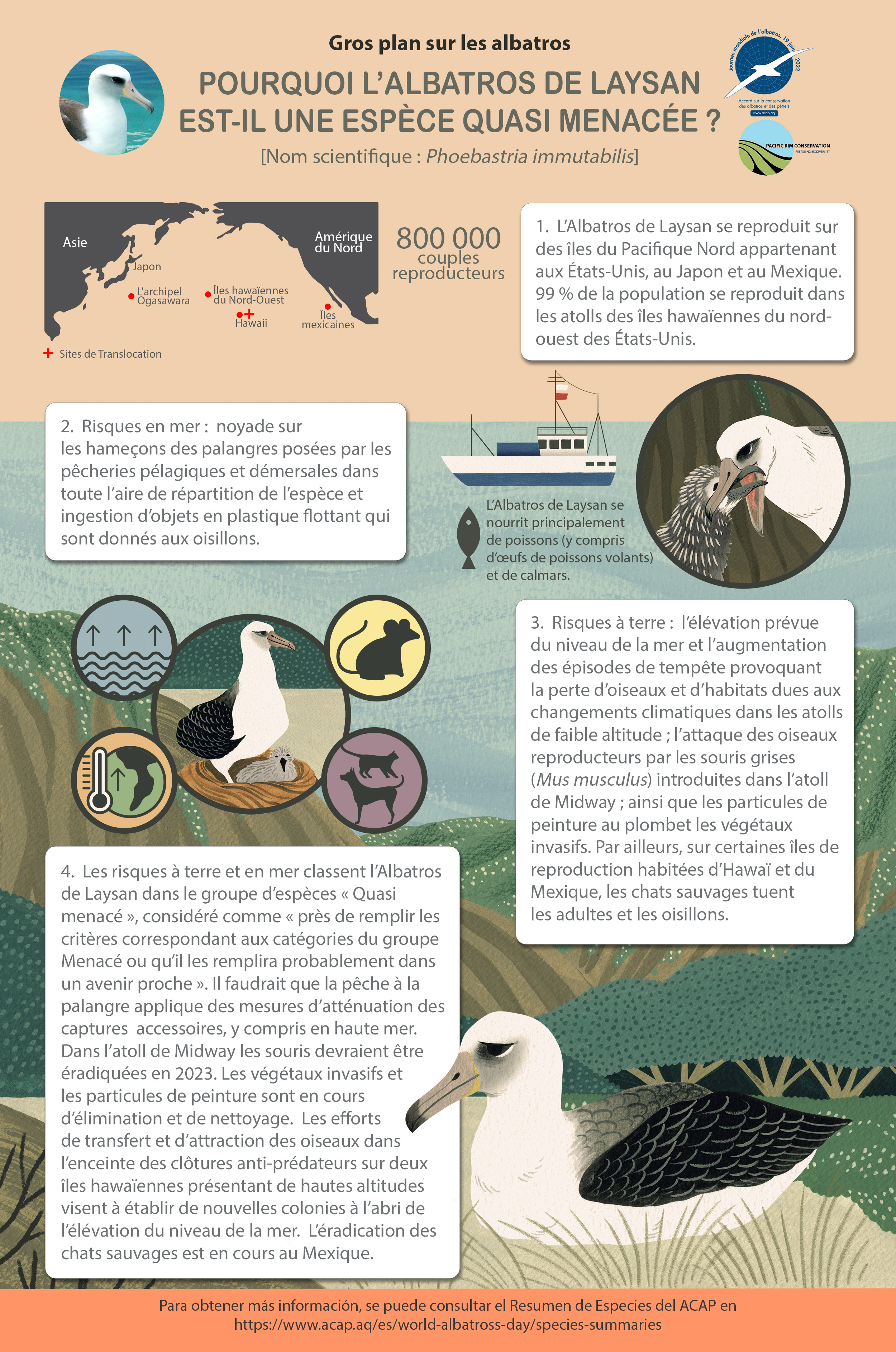 Laysan Albatross infographic poster_fr - 2MB with 5mm bleed