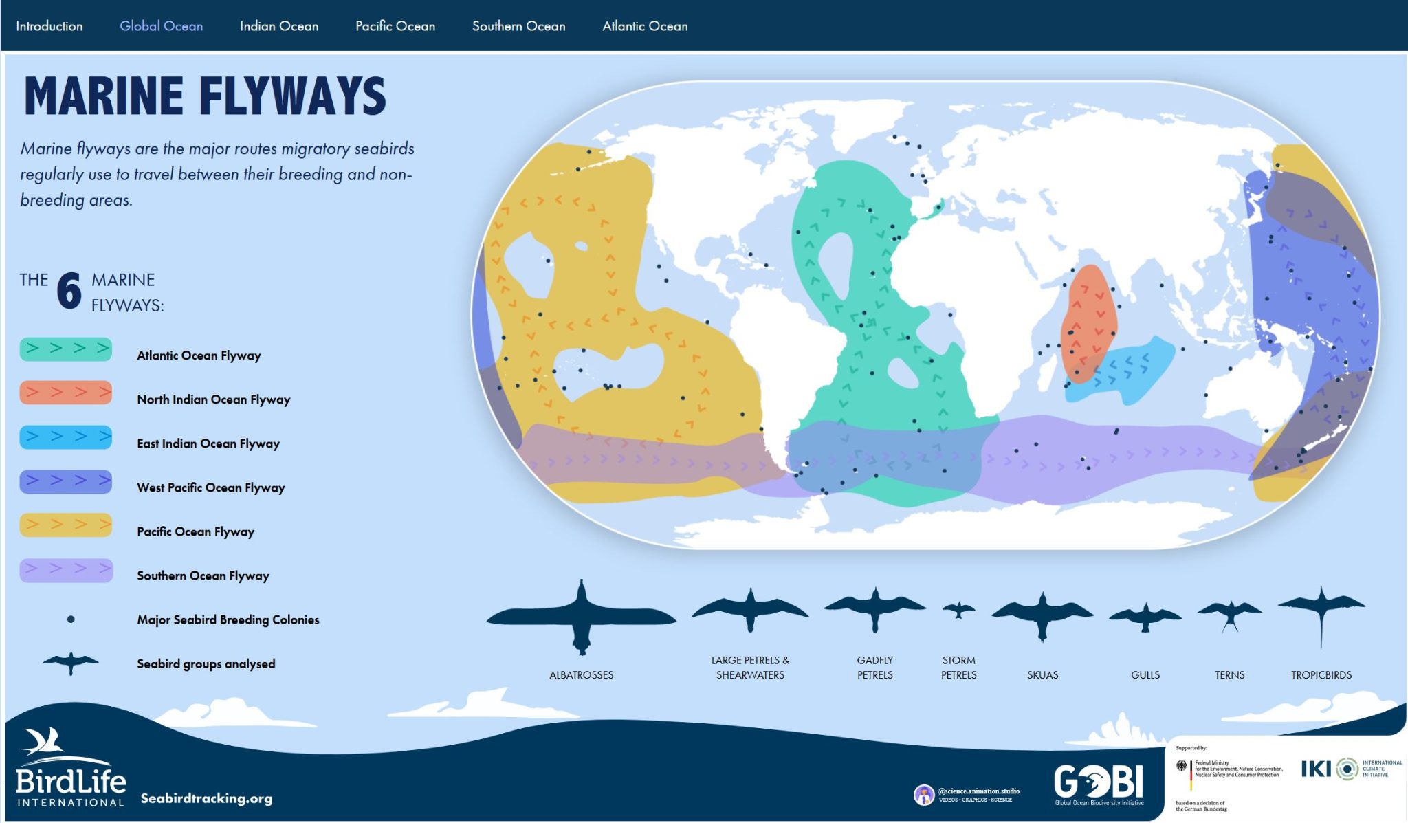 BirdLife flyways preview 2048x1197