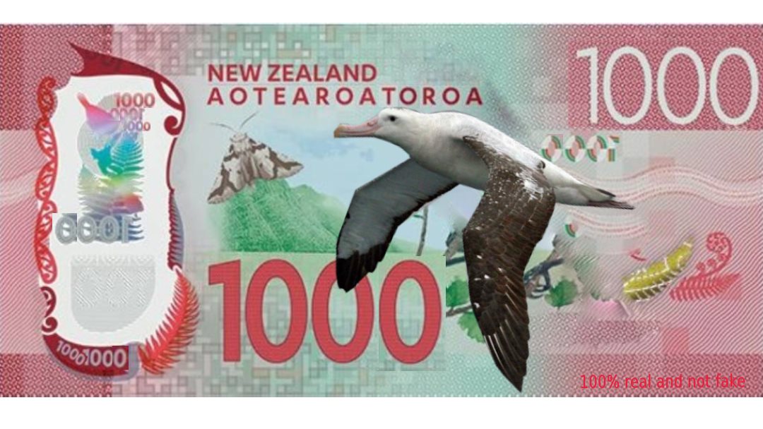 Antipodean 1000 dollars