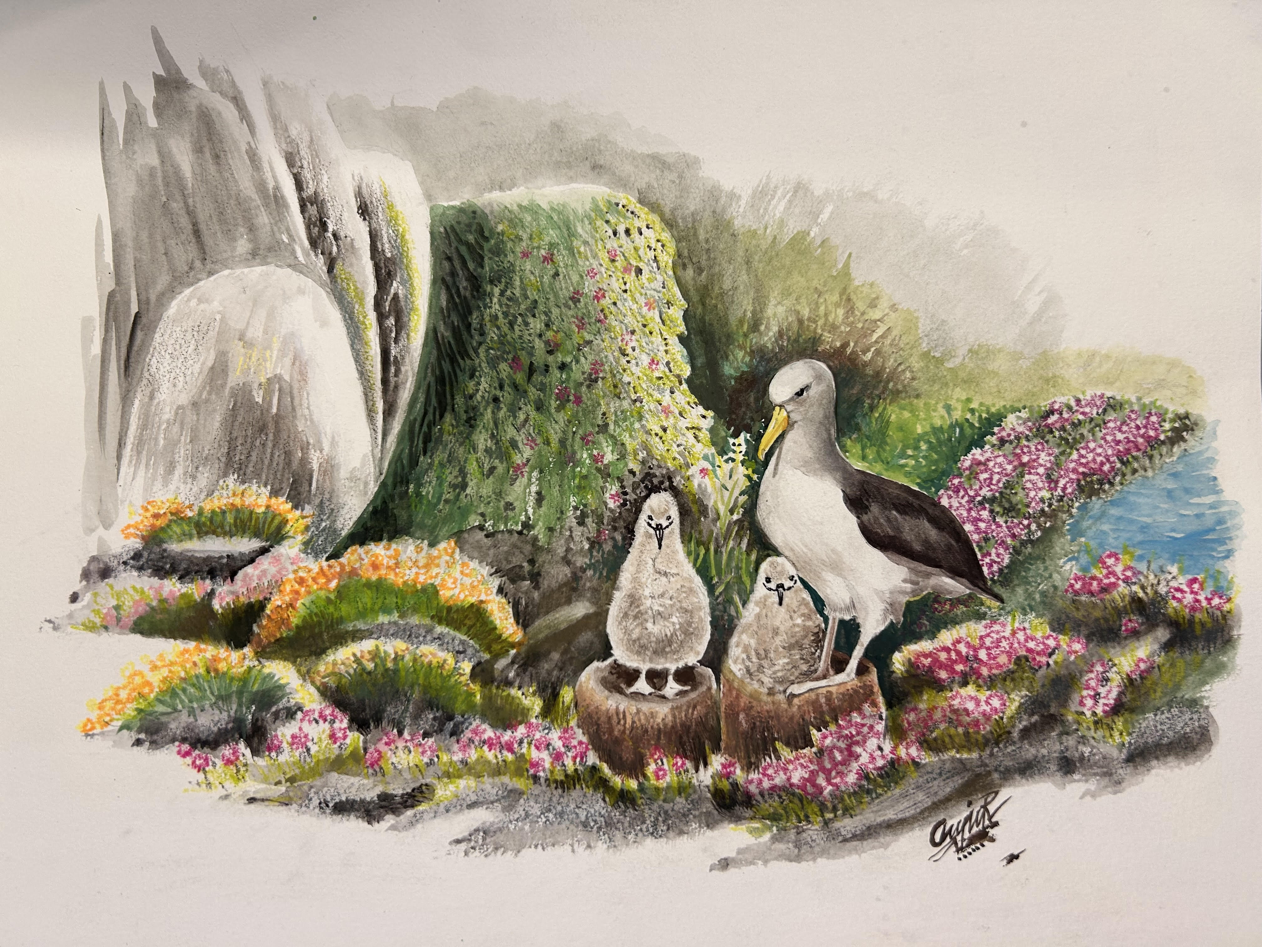 Anju Rajesh Guardians of the Pyramid The Chatham Albatross