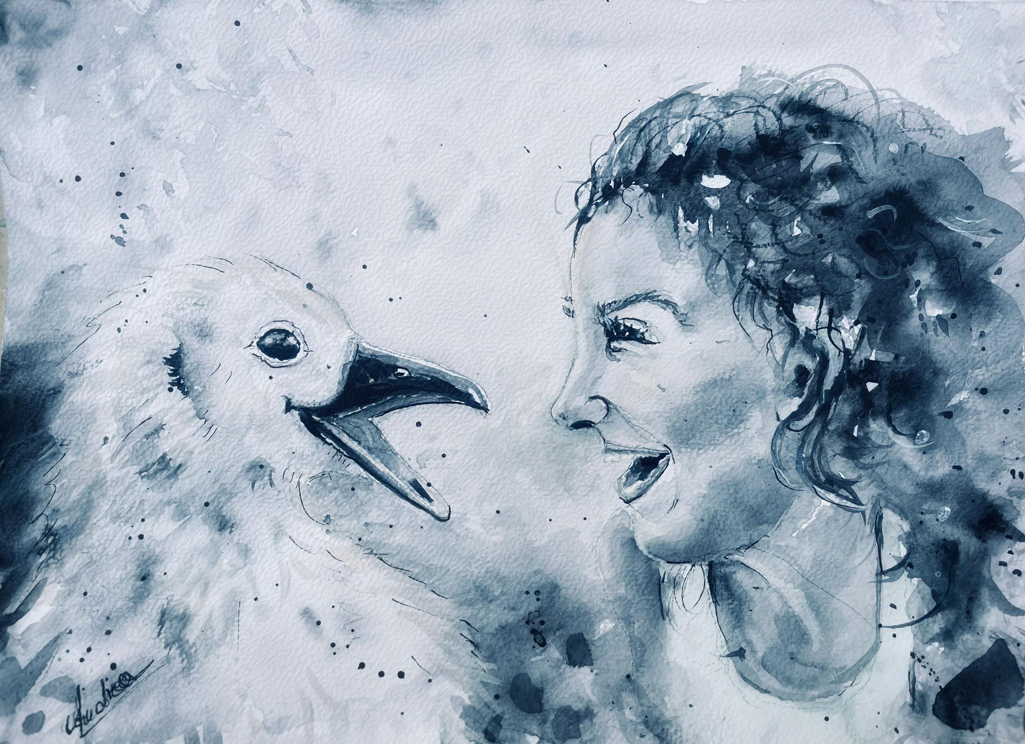 Chatham Albatross Andrea Siemt after Lorna Deppe