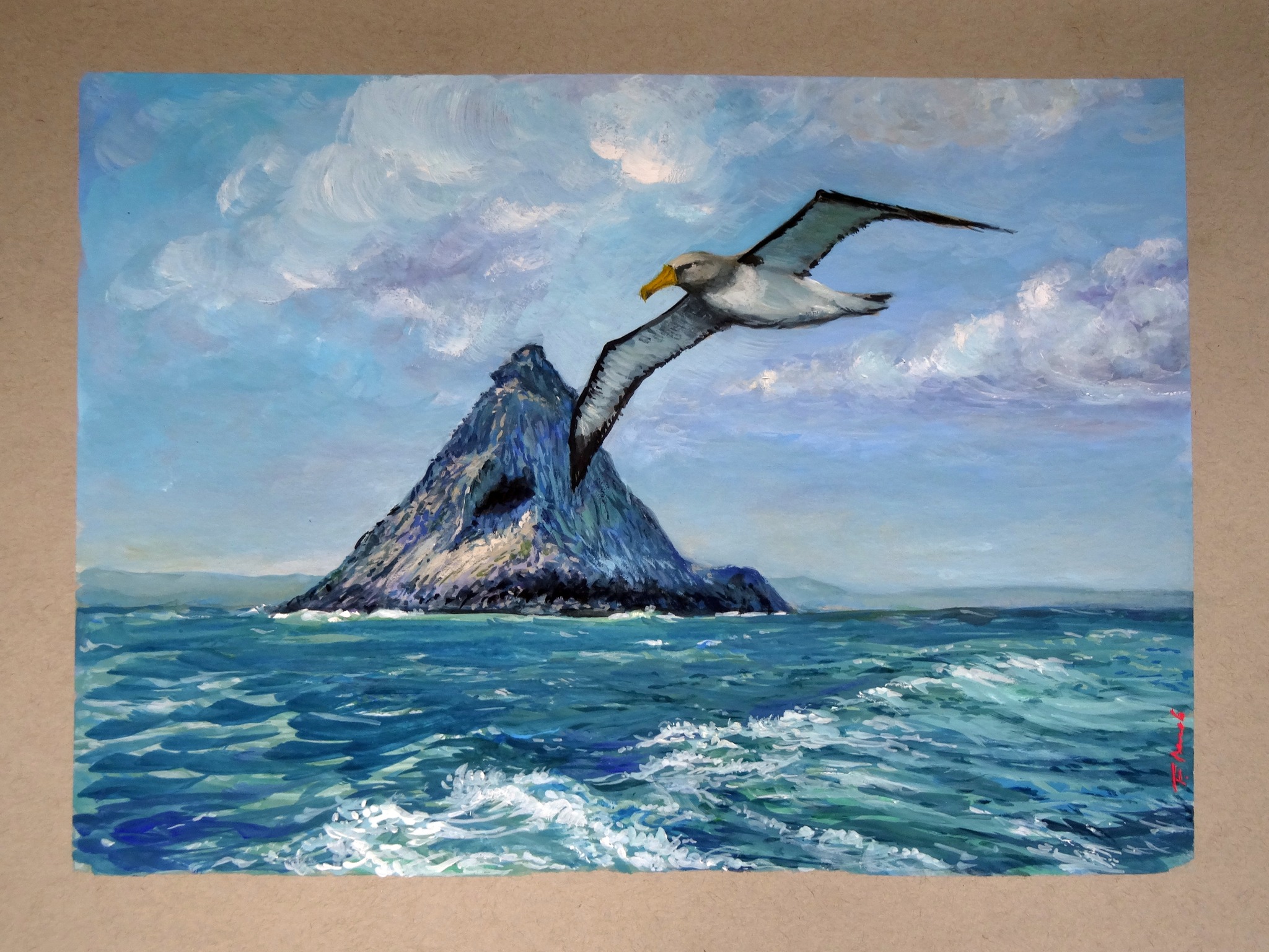 Flávia F. Barreto Chatham Albatross goauche Hadoram Shirihai Davd Boyle