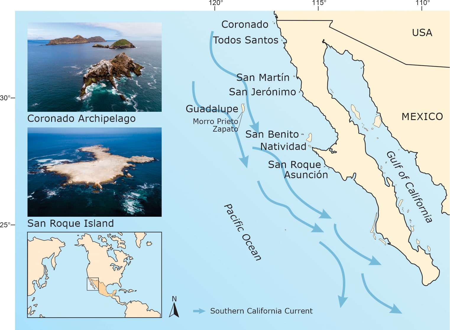 Map of Baja California seabird sanctuary study
