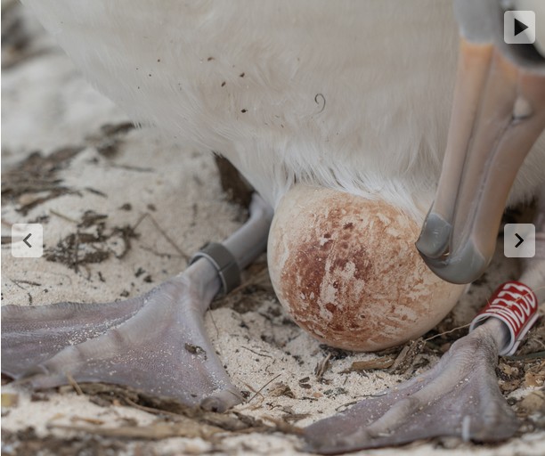 N333 06 Dec 2025 Daniel Wrapp