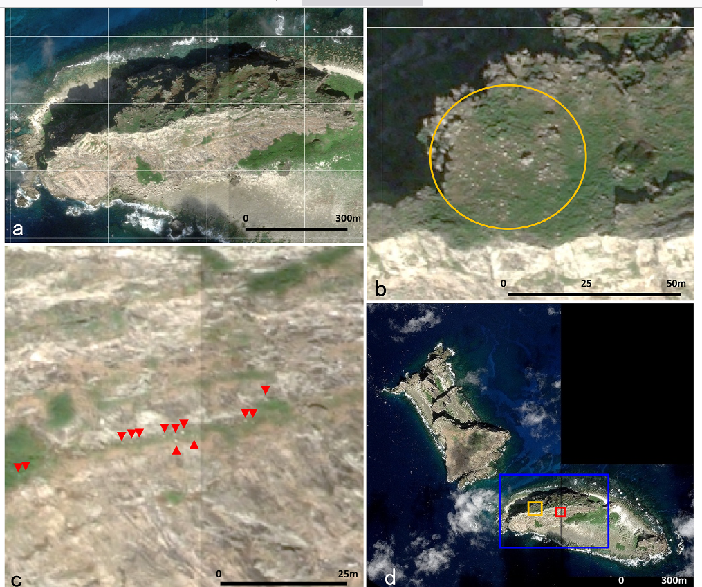 Senkaku satellite pic