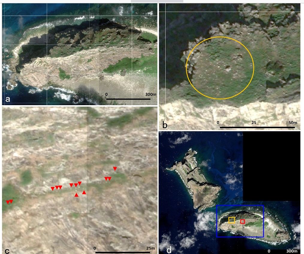 Agreement on the Conservation of Albatrosses and Petrels - Counting ...