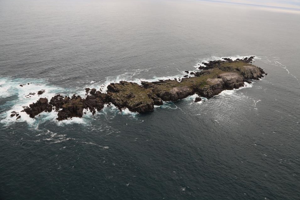 1. Albatross Island