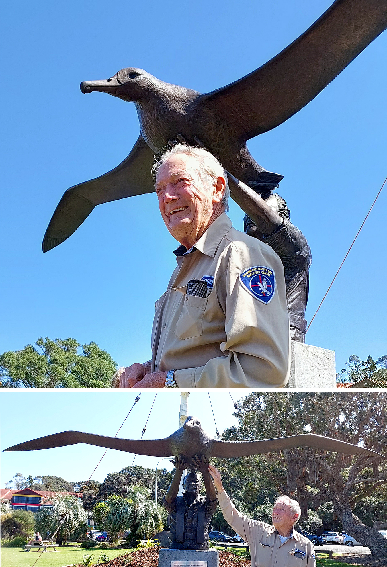 Bronze statue Southern Royal Albatross