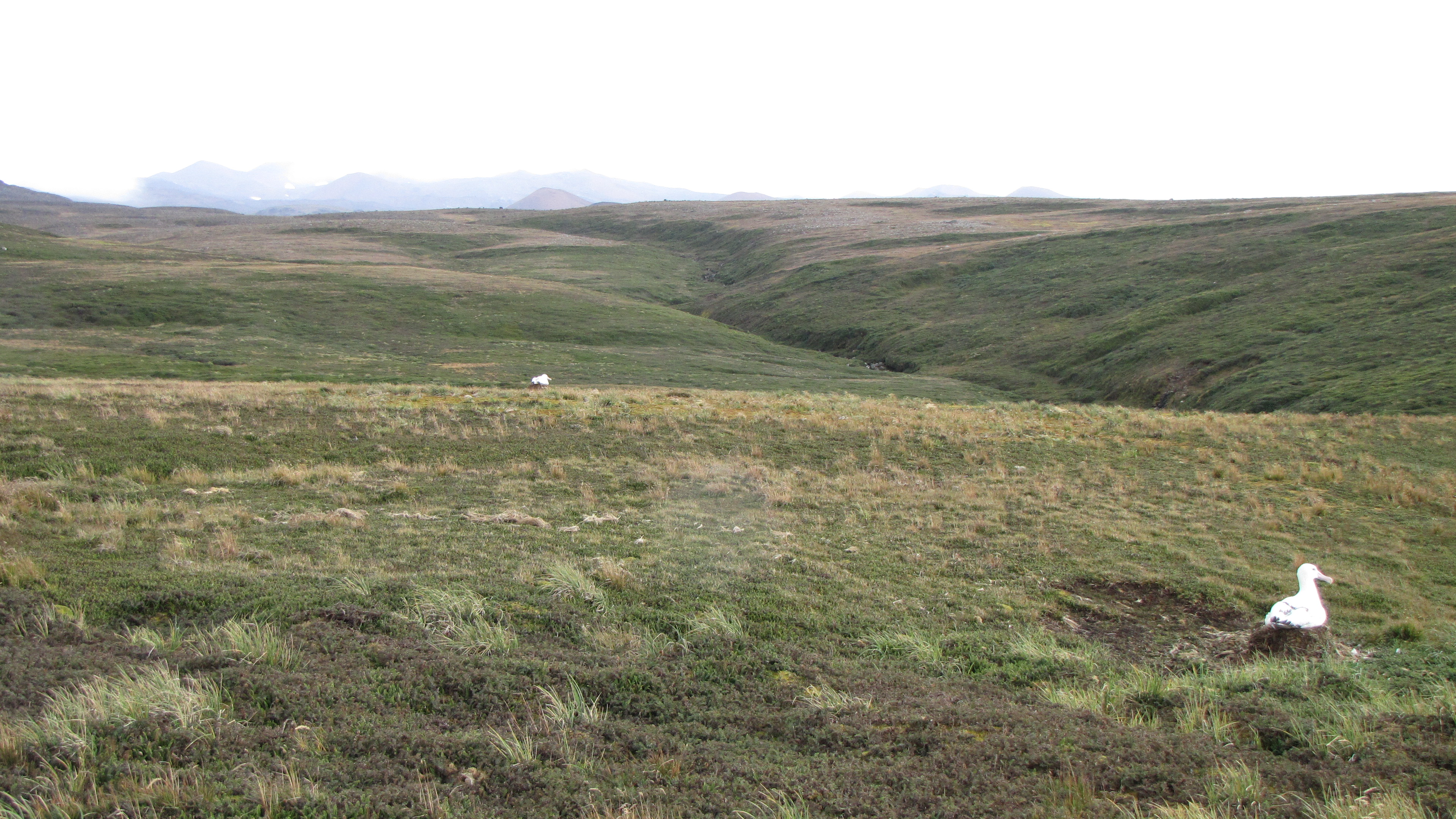 Challenger Photopoint 08 April 2014 JC