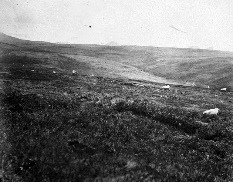 Challenger Photopoint 26 Dec 1873