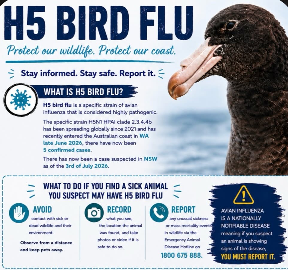 HPAI poster Australia