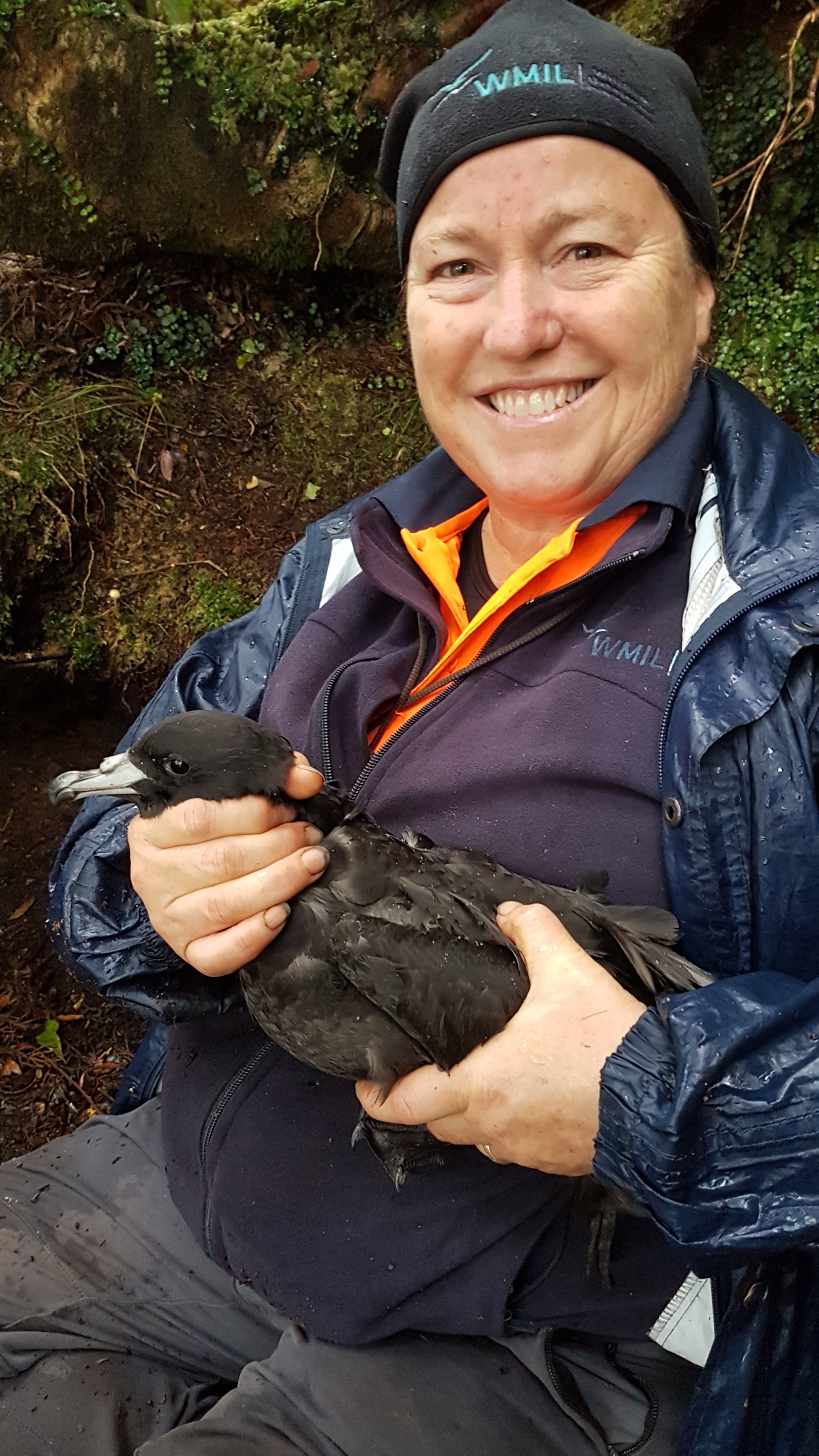 Biz with black petrel May 2020 Credit Paul Garner Richards WMIL s