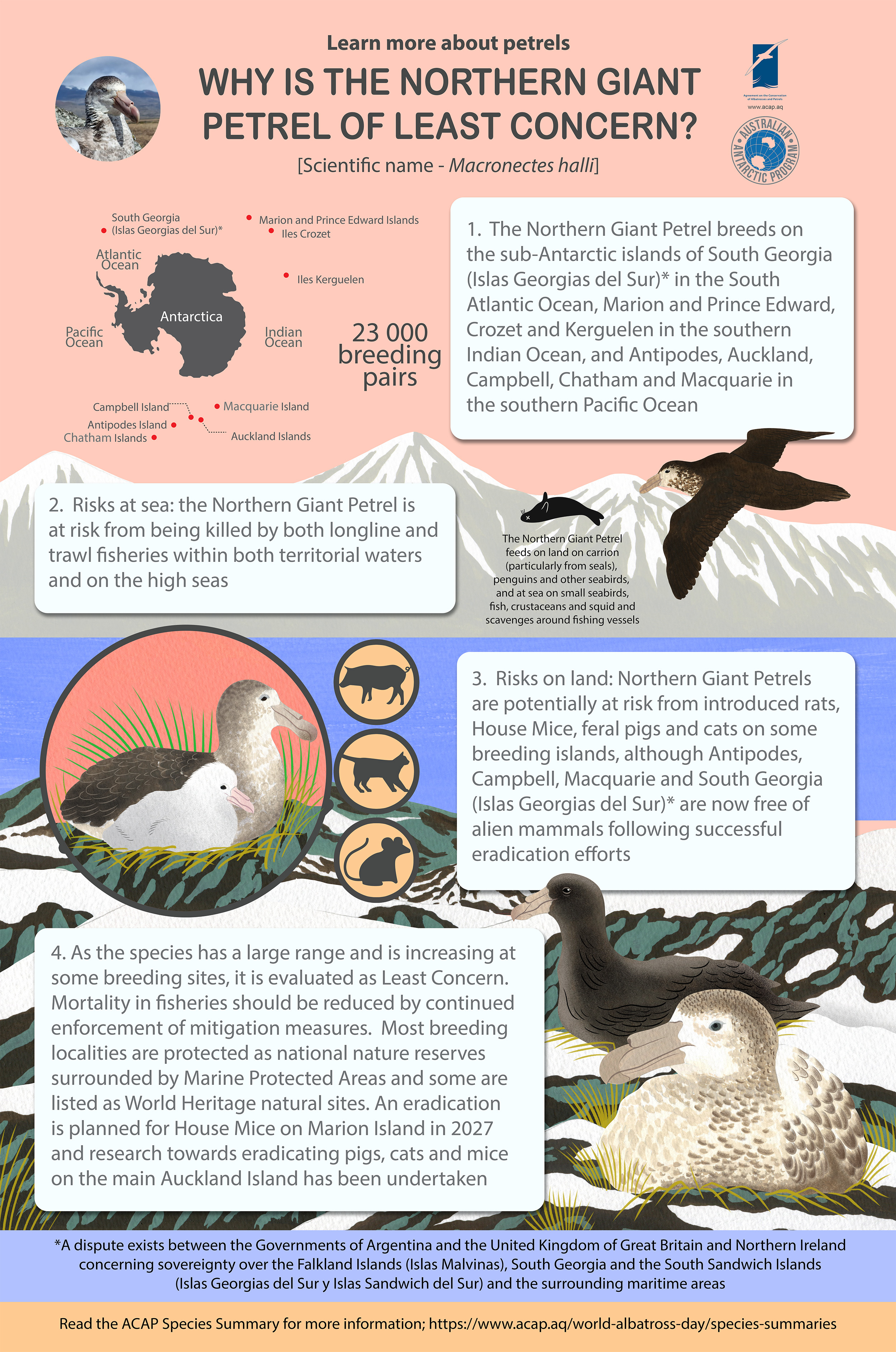 preview northerngiantpetrel eng updated