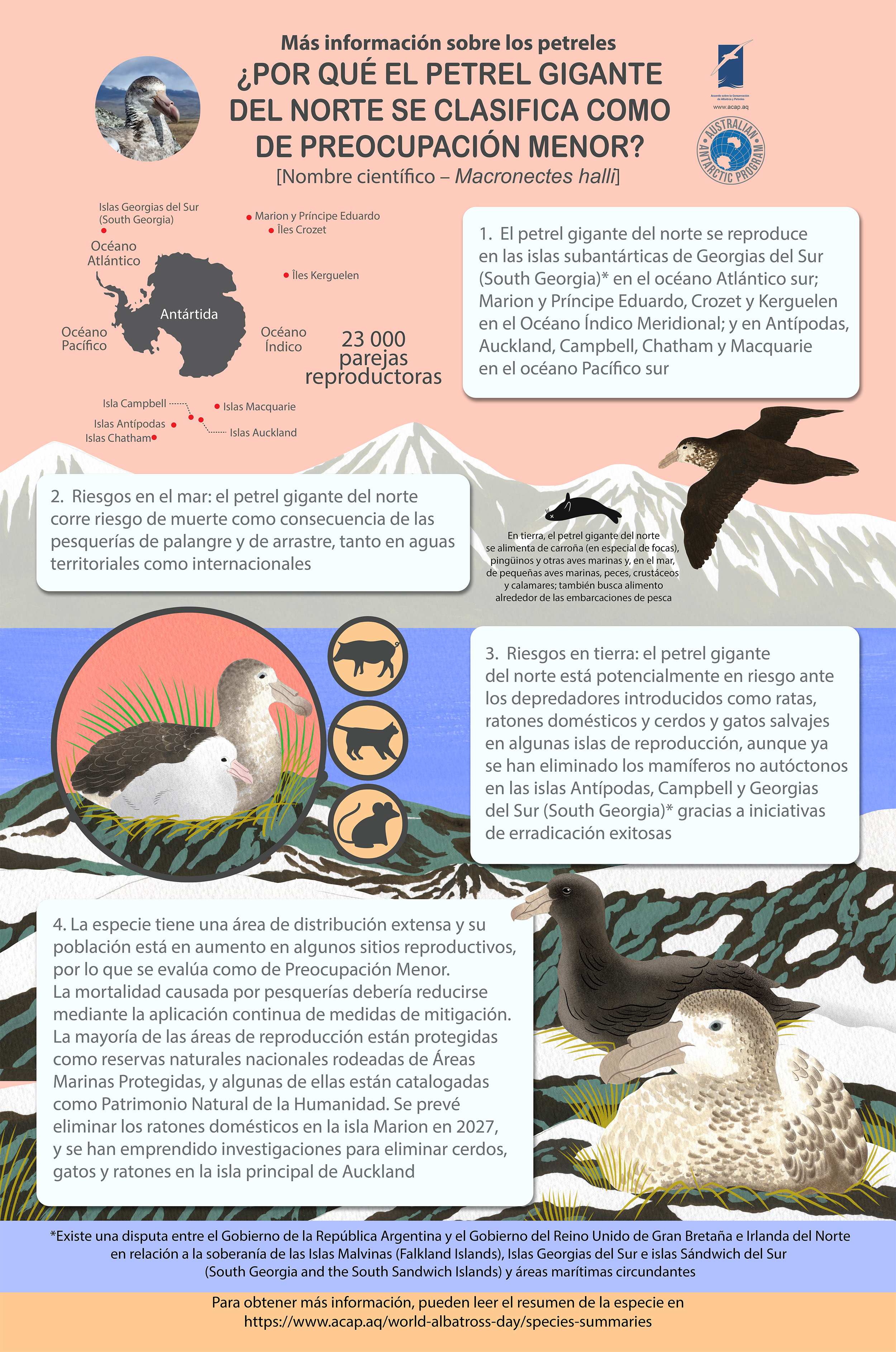 preview northerngiantpetrel es updated