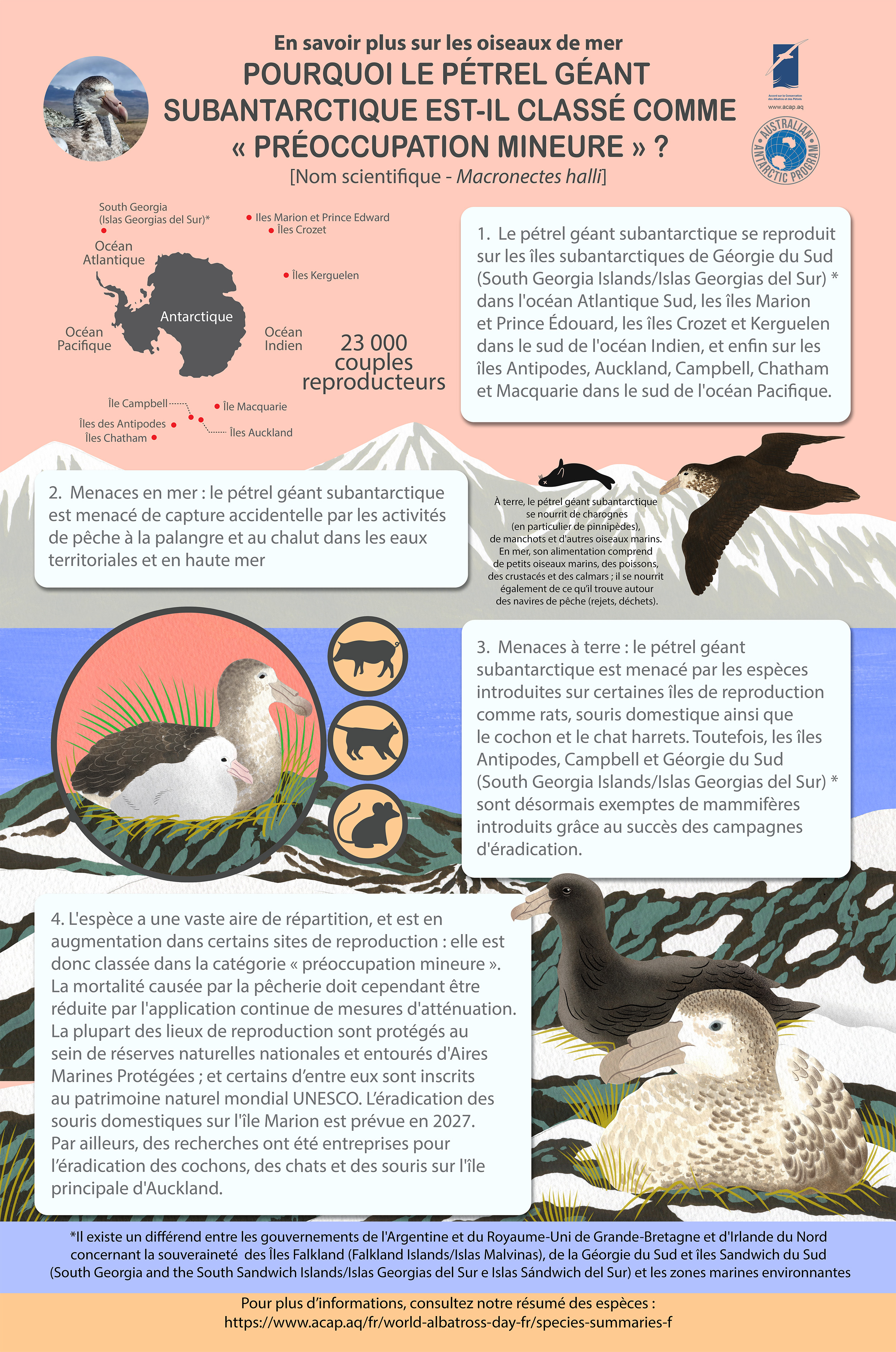 preview northerngiantpetrel fr updated