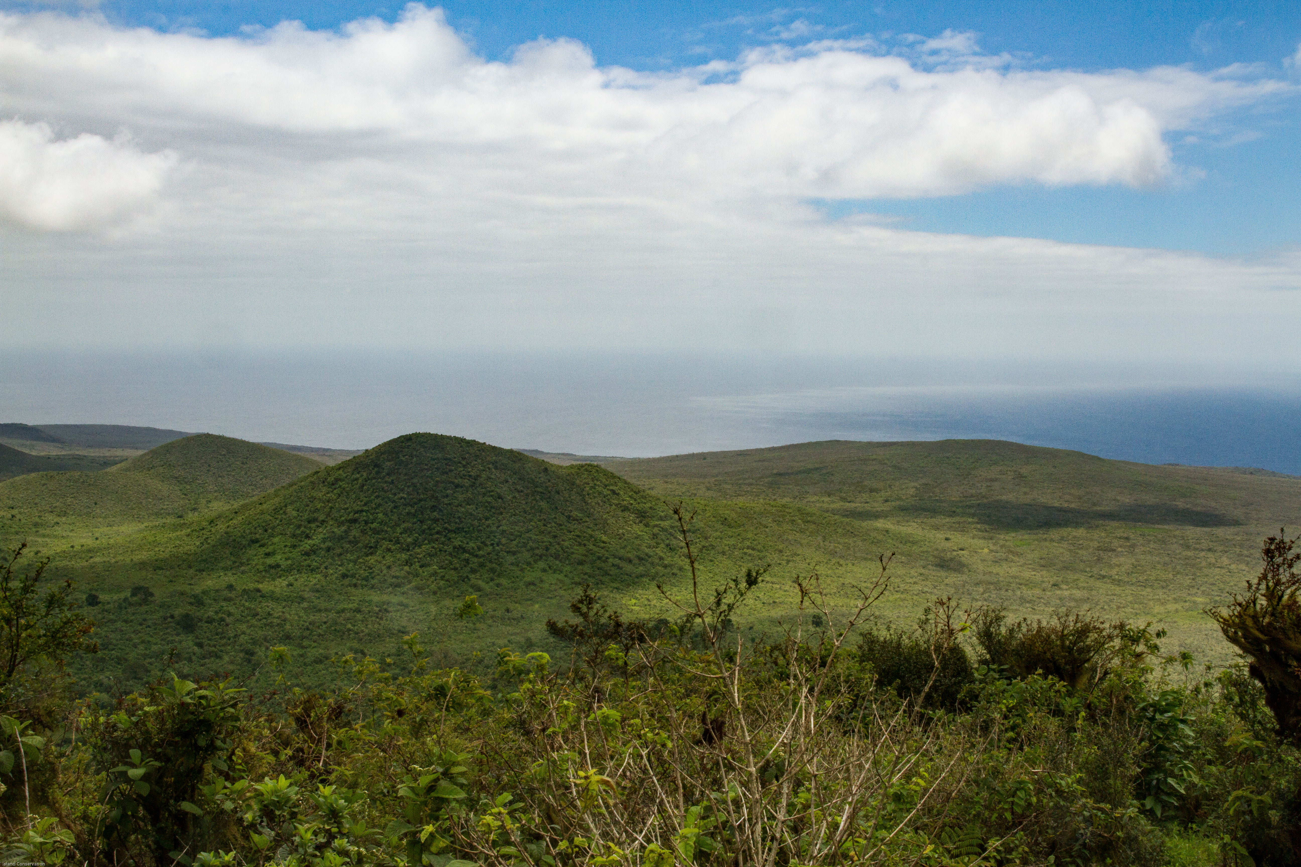 Floreana Island Conservation