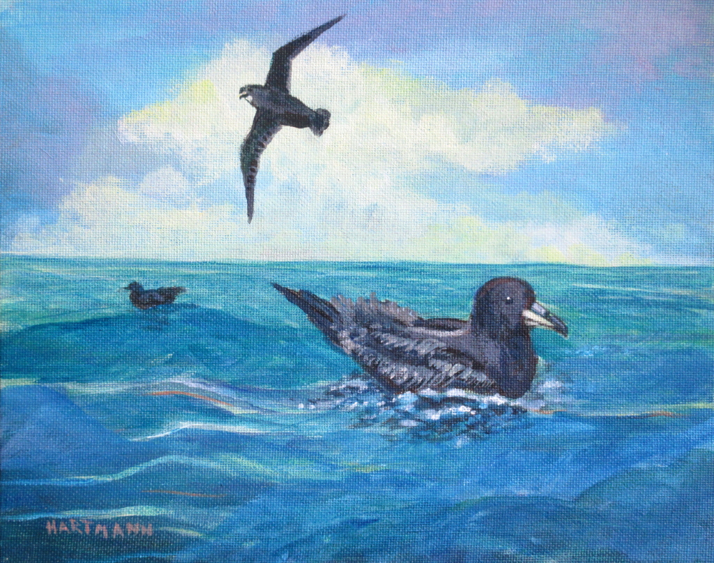 Joyce Hartmann Westland Petrel acrylic Kirk Zufelt