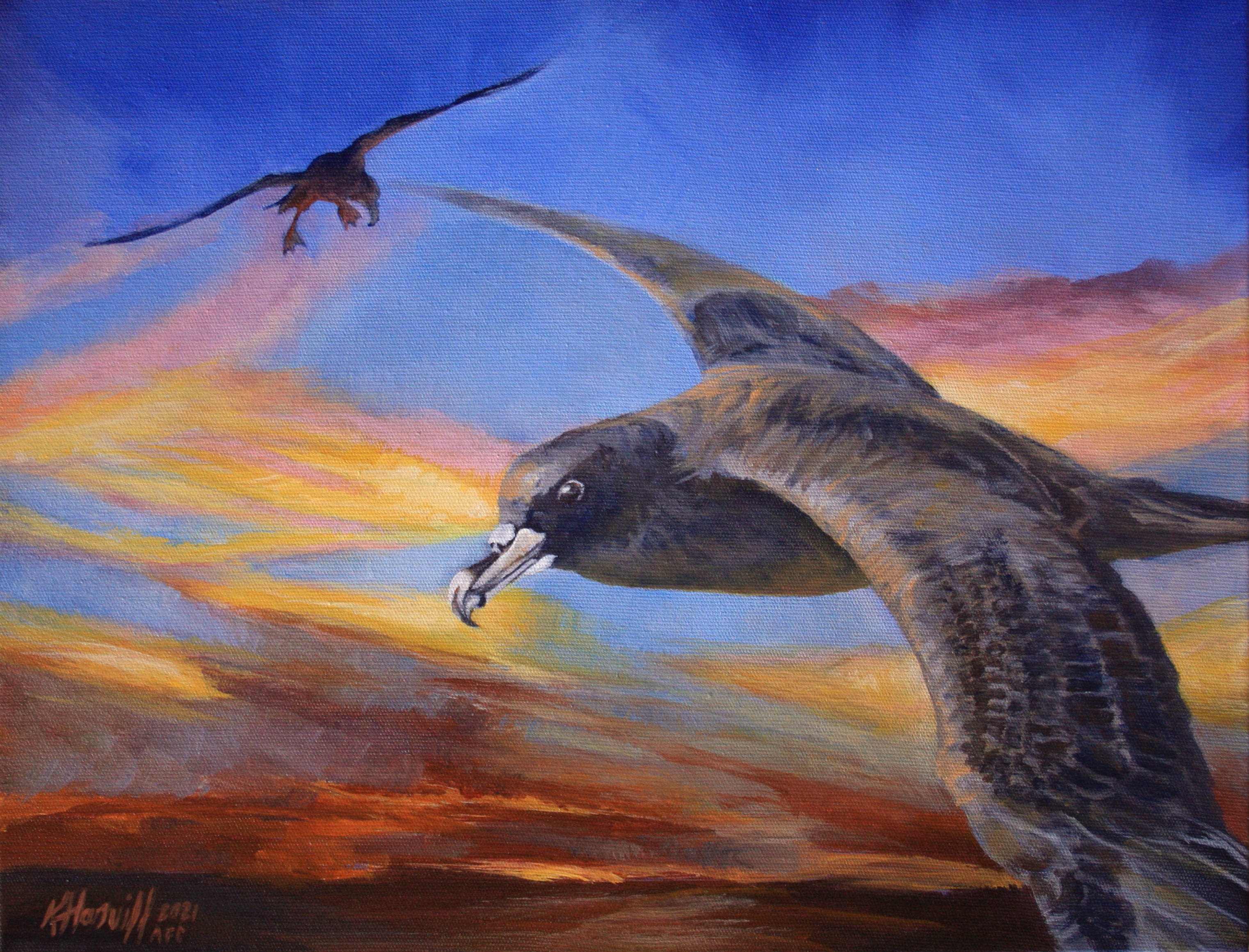 White chinned Petrel Kitty Harvill Seabird Sunset acrylic 27x35 cm Dimas Gianuca