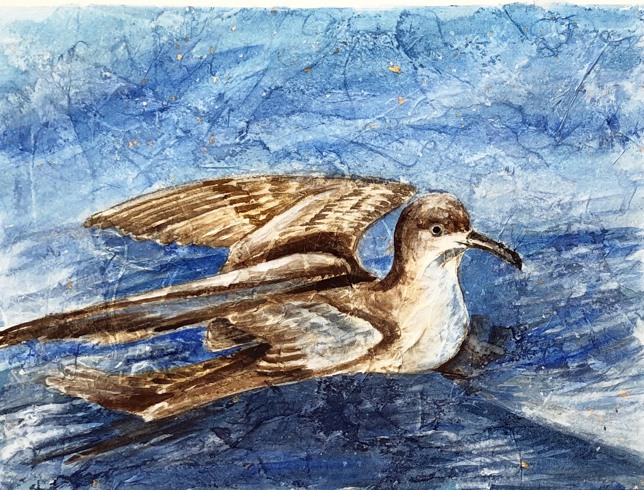 Mary Ann Stafford Balearic Shearwater watercolour collage Pep A rcos