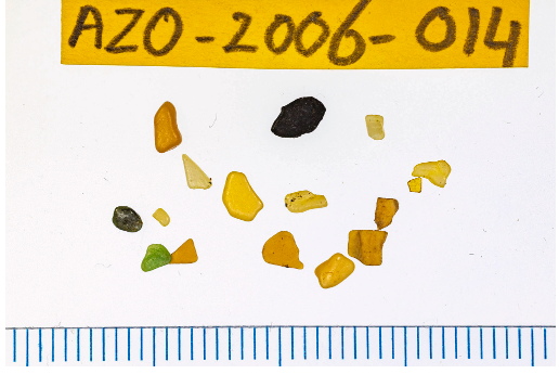 Screenshot 2025 11 30 at 05 21 49 plastic ingestion by corys and scopolis shearwate wageningen university and research 704698.pdf