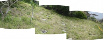 Fluttering Shearwater colony Matiu Somes s