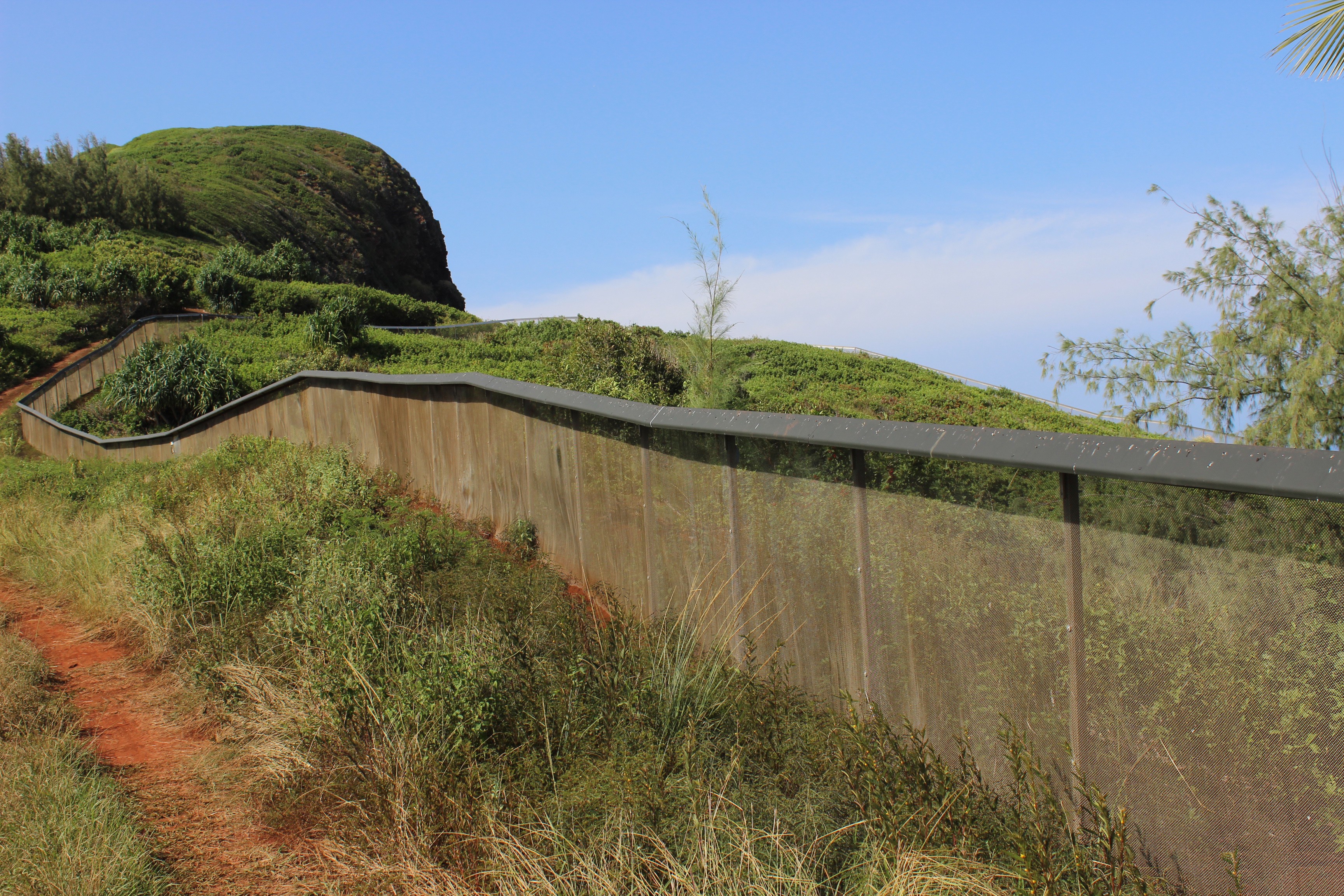 Nihoku fence